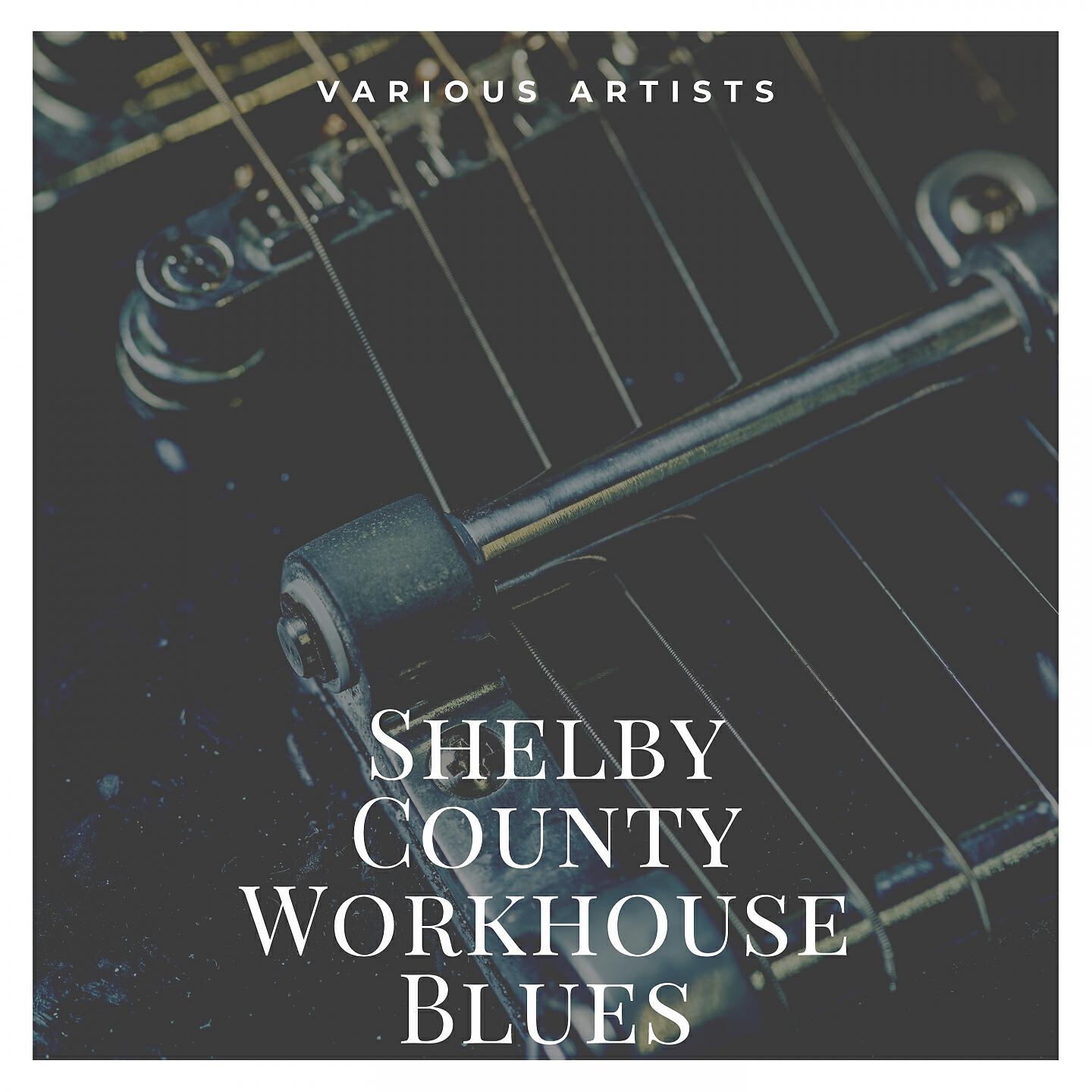 Релиз Shelby County Workhouse Blues