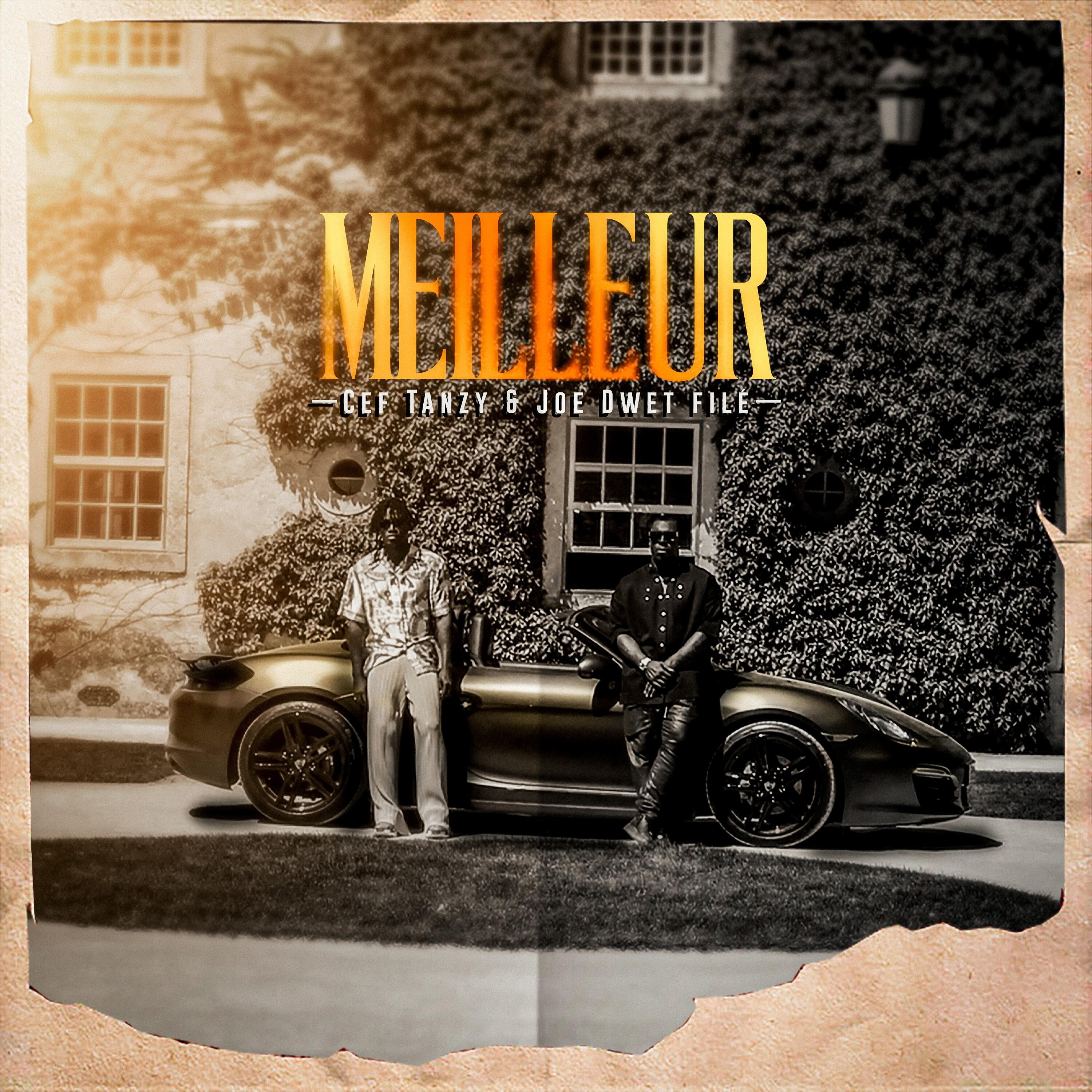 Релиз Meilleur