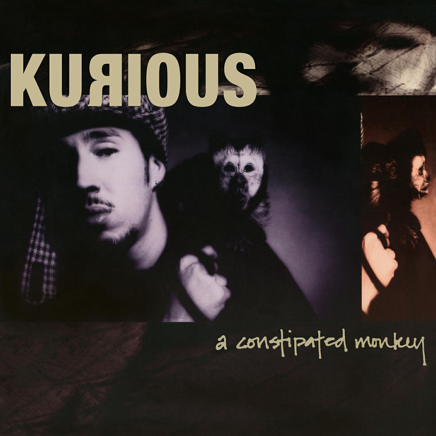 Релиз A Constipated Monkey