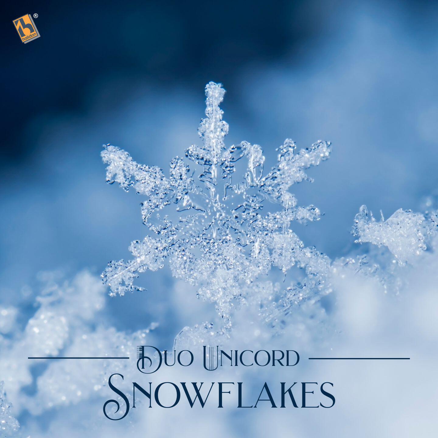 Релиз Snowflakes