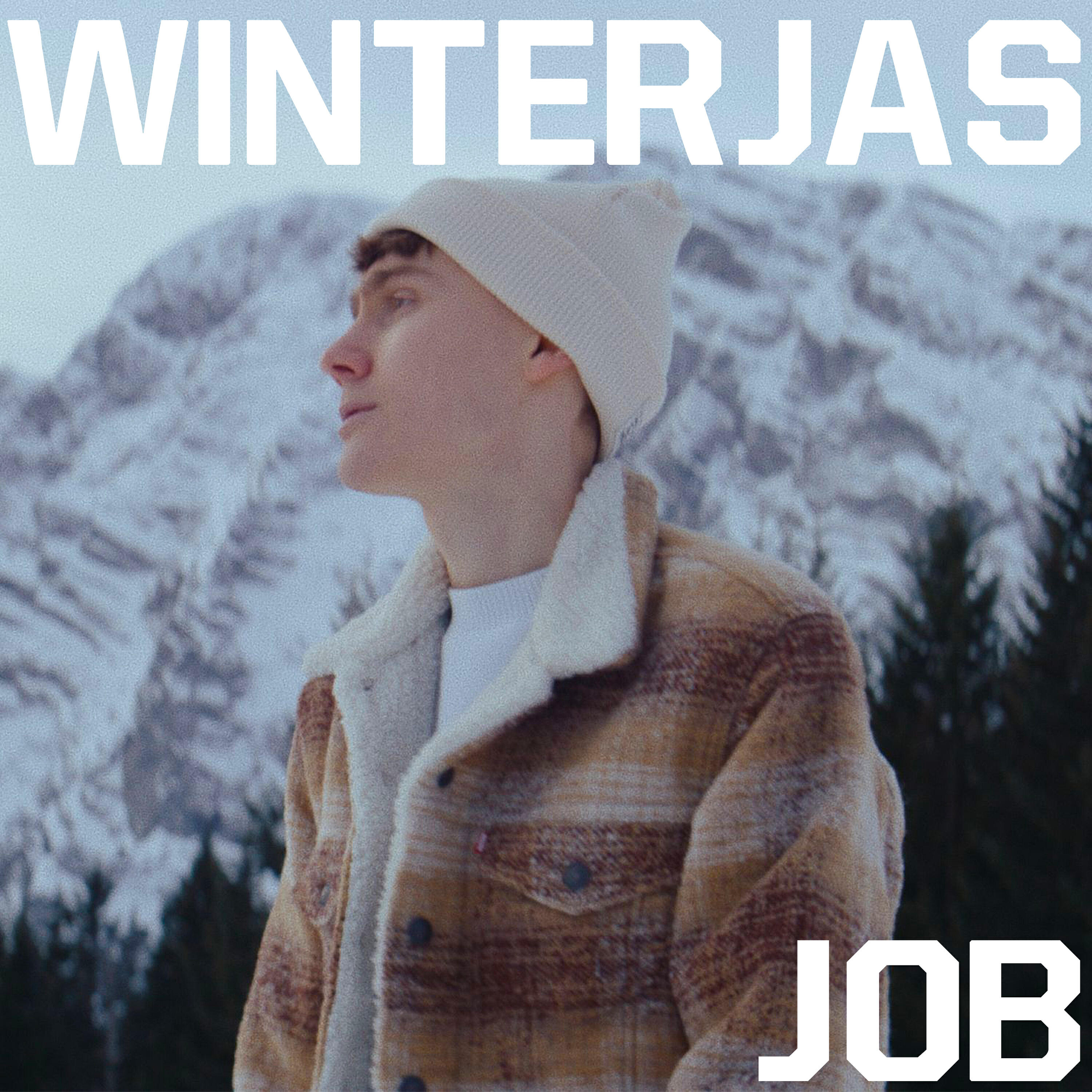 Релиз Winterjas