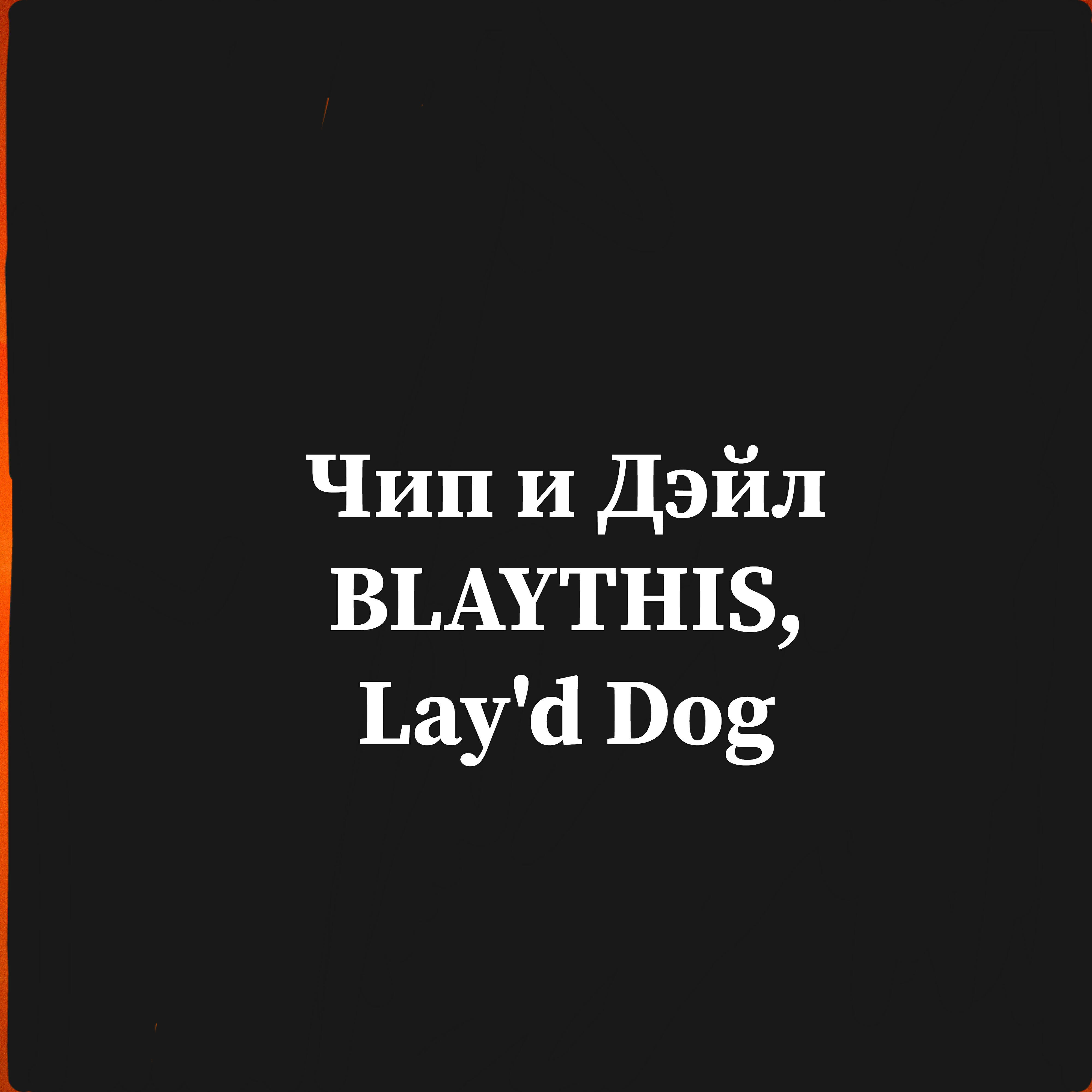 Lay'd Dog