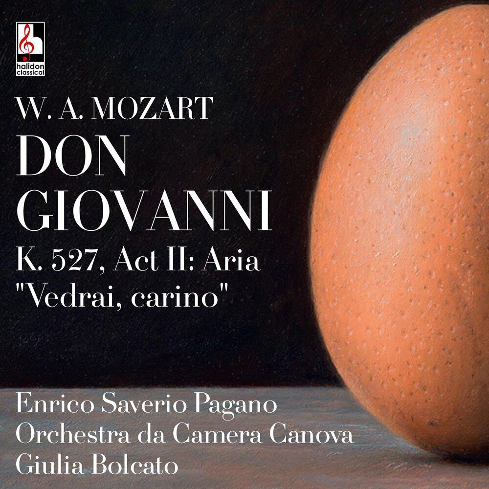 Orchestra da Camera Canova