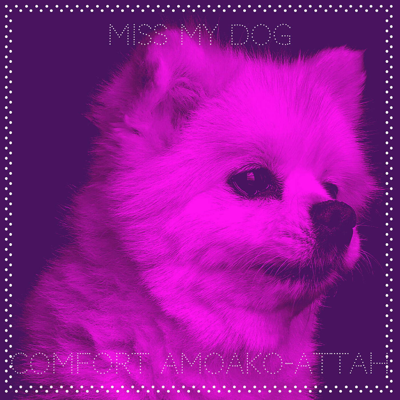 Релиз Miss My Dog