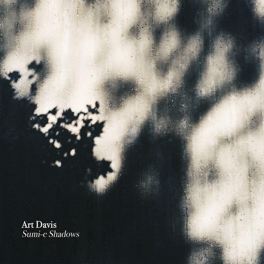 Релиз Sumi-E Shadows