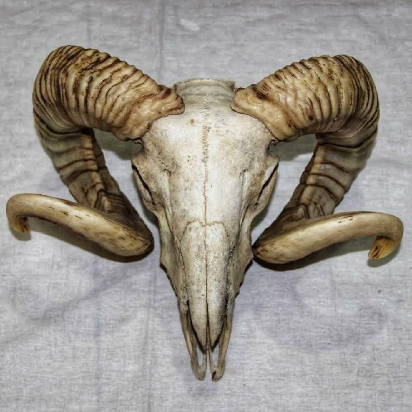 Релиз bonesopretty mixtape