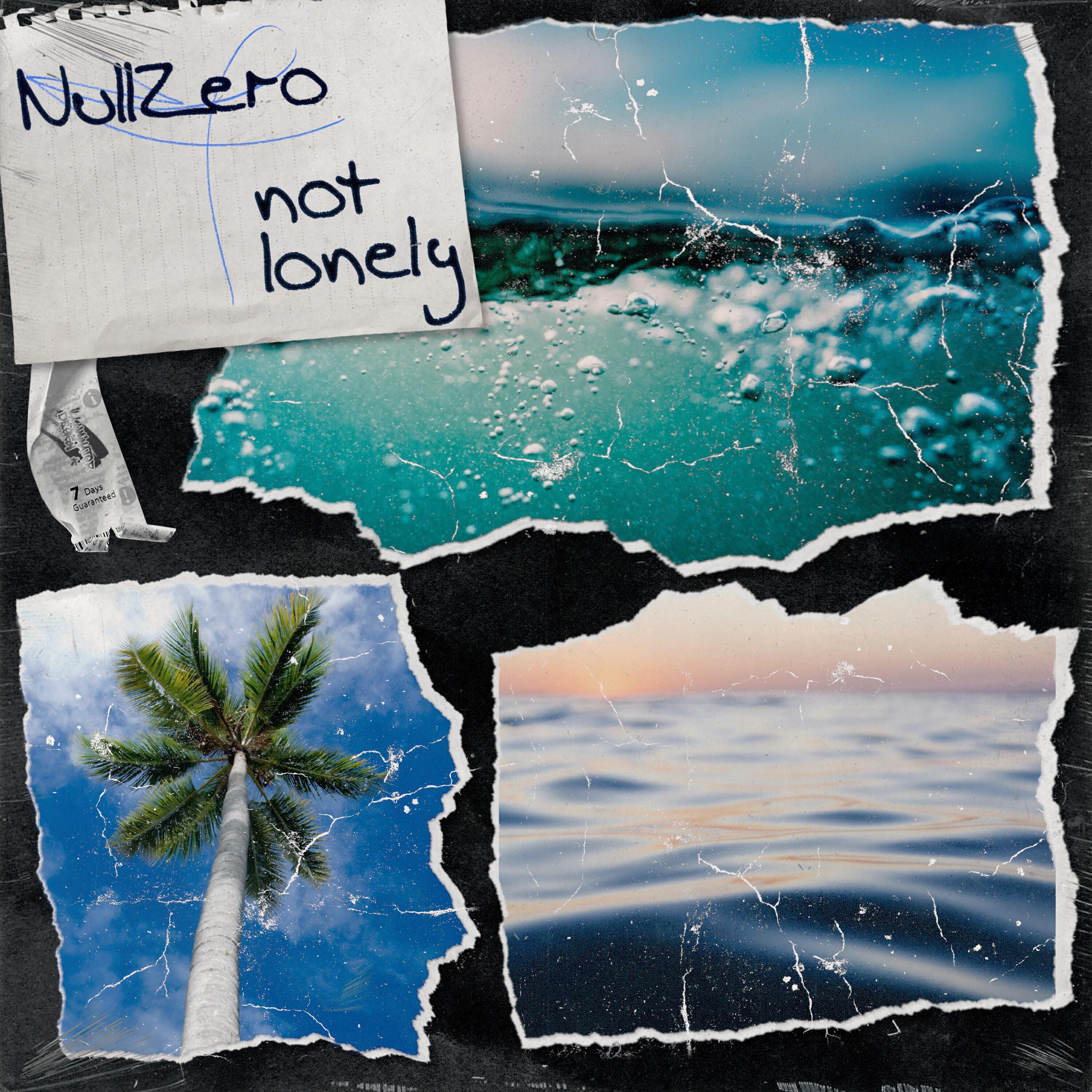 Null.Zero