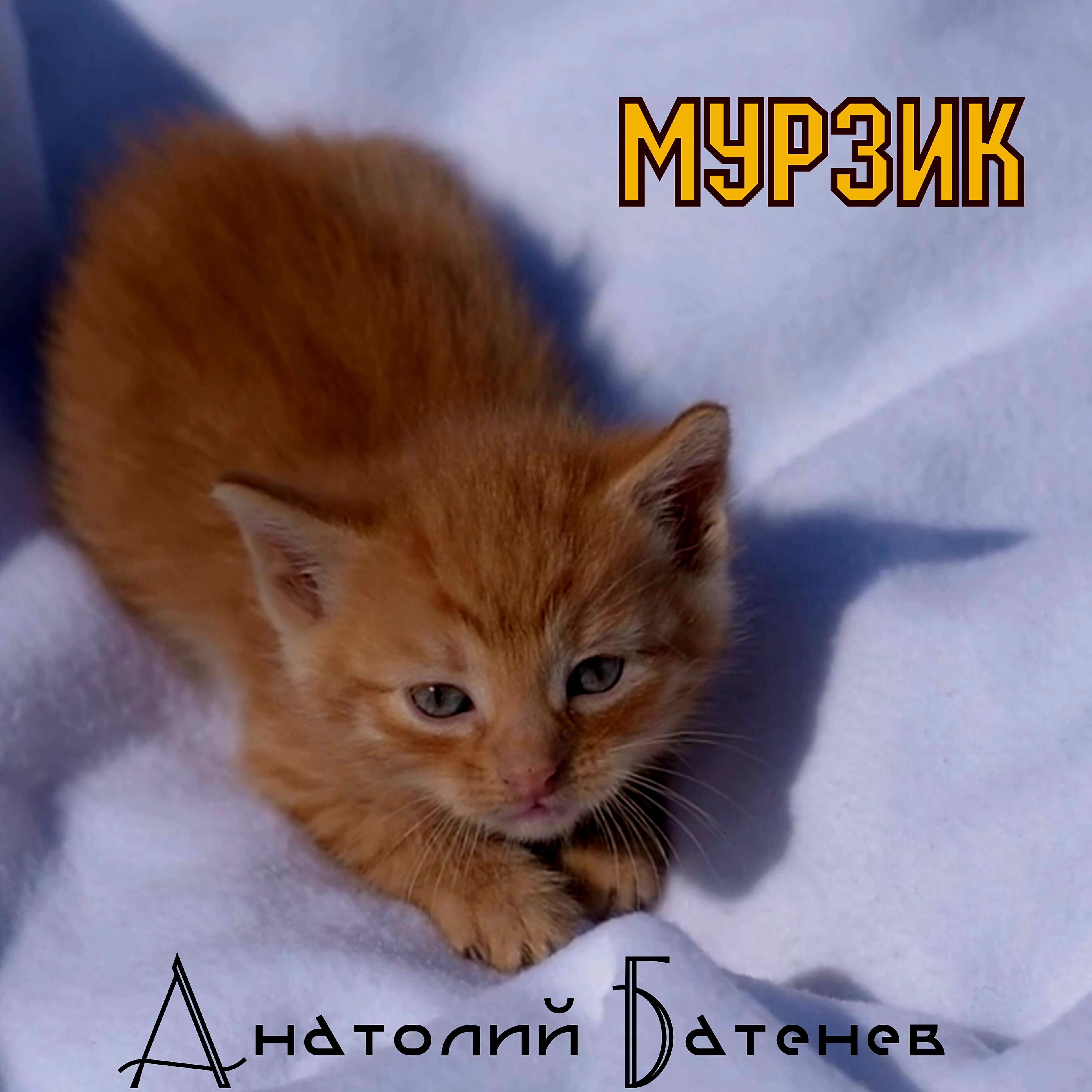 Релиз Мурзик