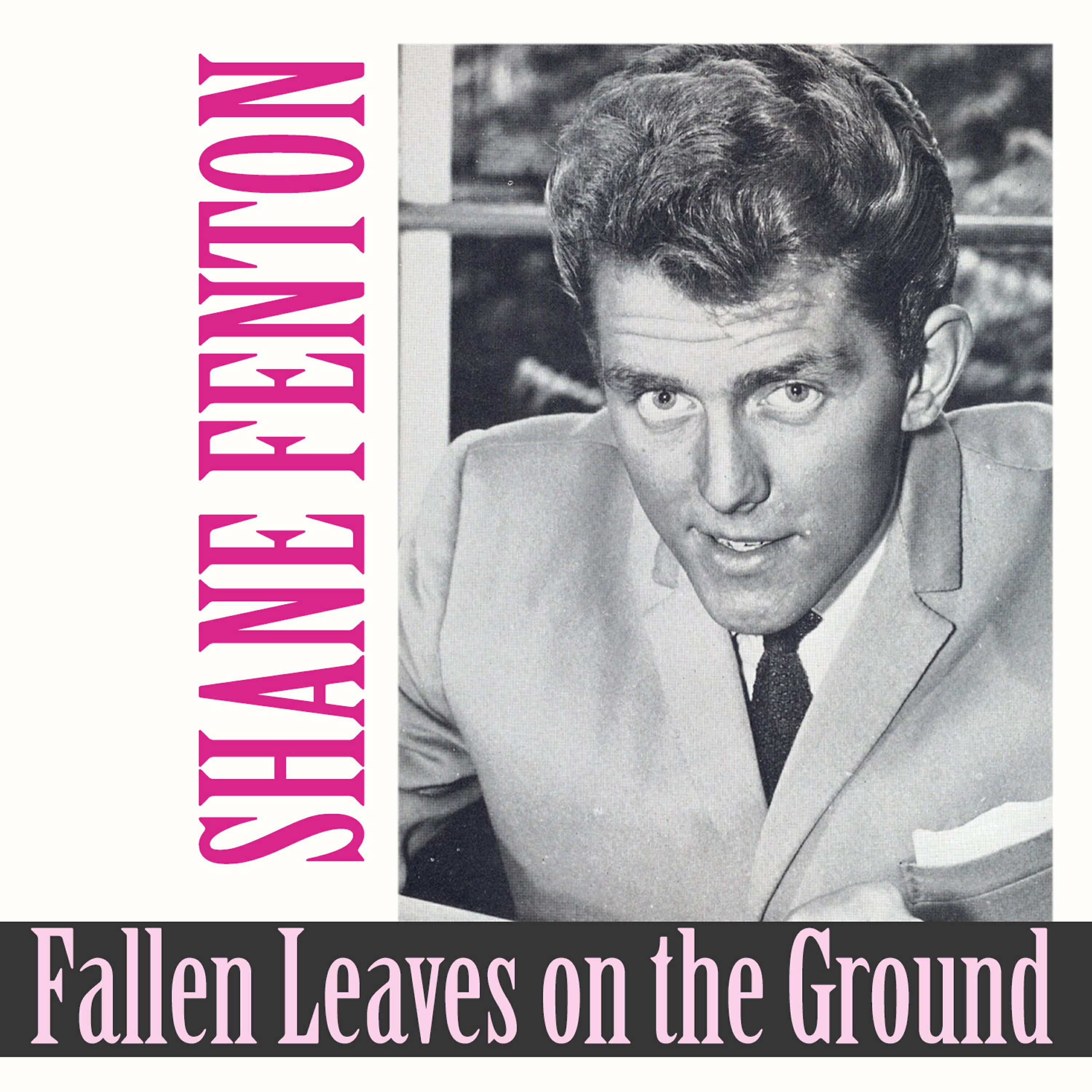 Релиз Fallen Leaves on the Ground