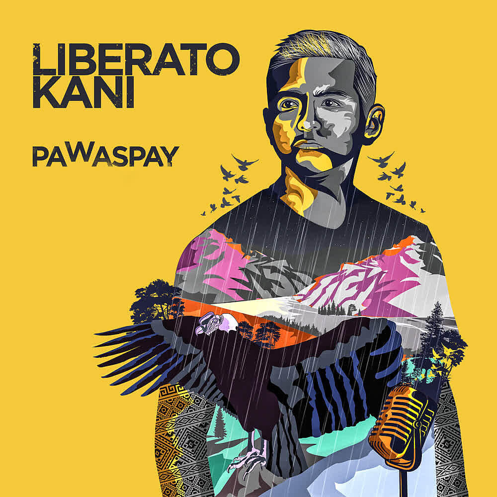 Релиз Pawaspay