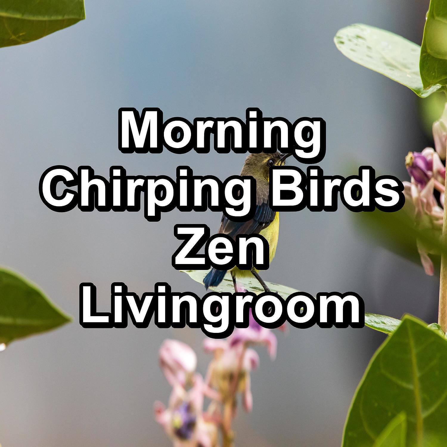 Трек Forest Bird Sounds To Help Insomnia To Loop for 10 Hours