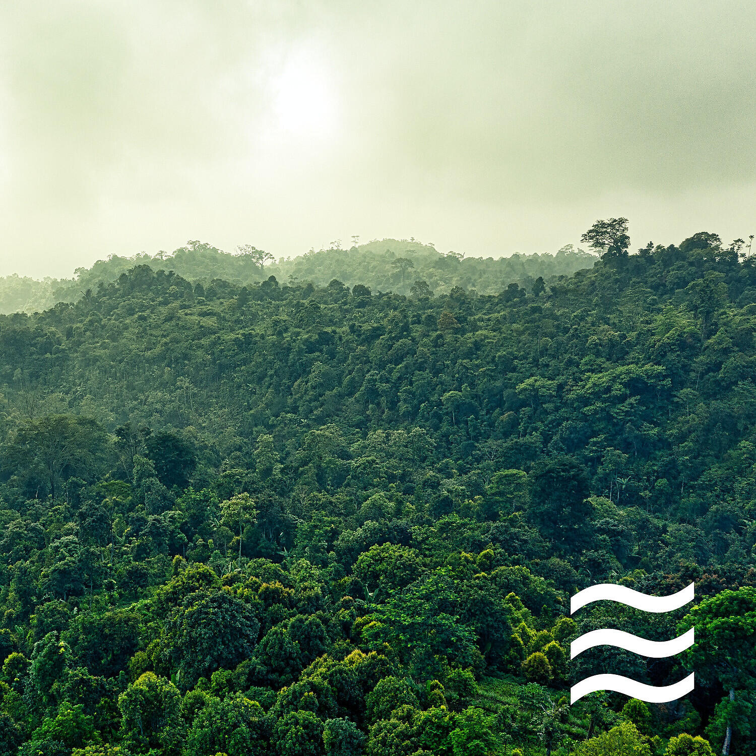 Релиз Гладкие звуки глубокого дождя