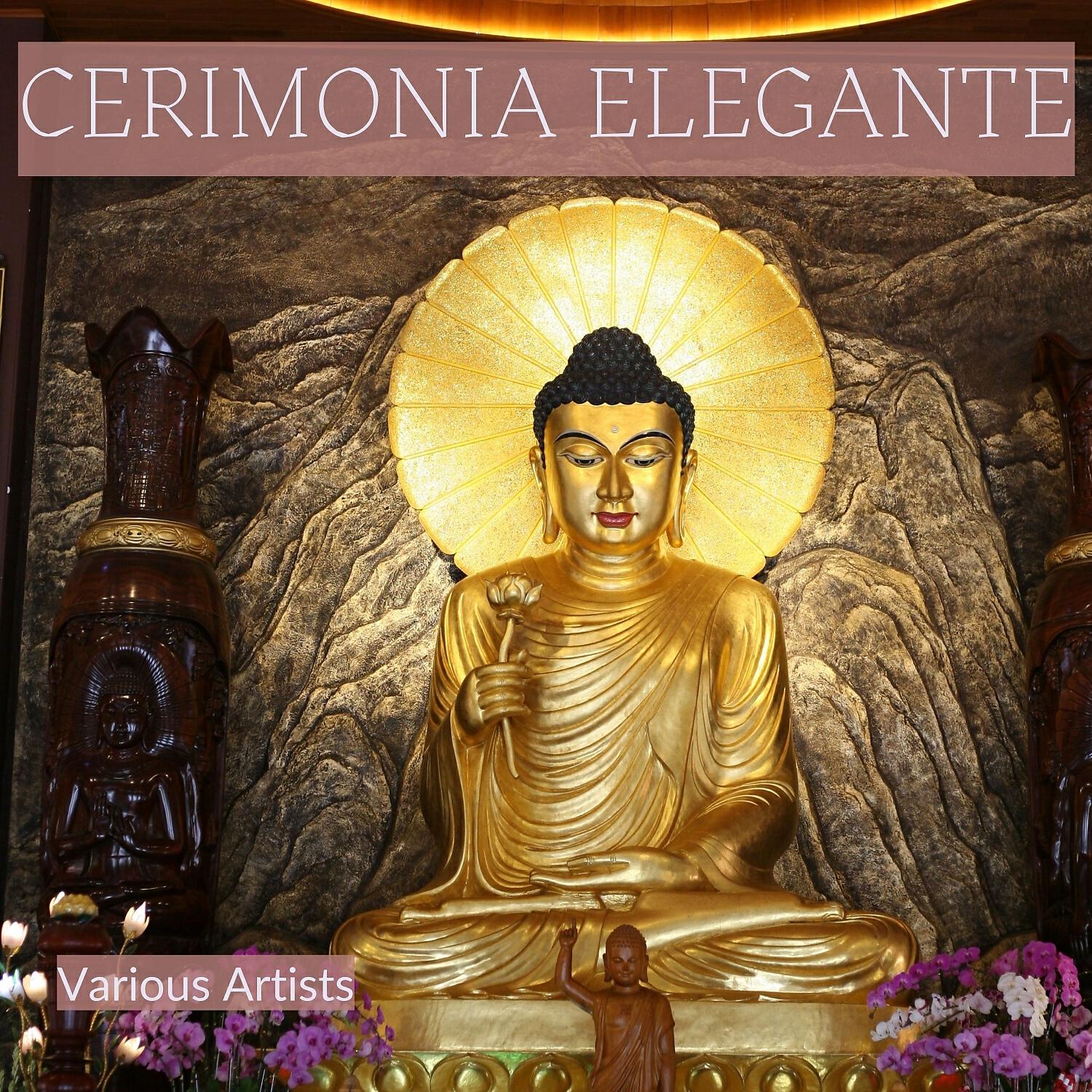 Постер альбома Cerimonia Elegante