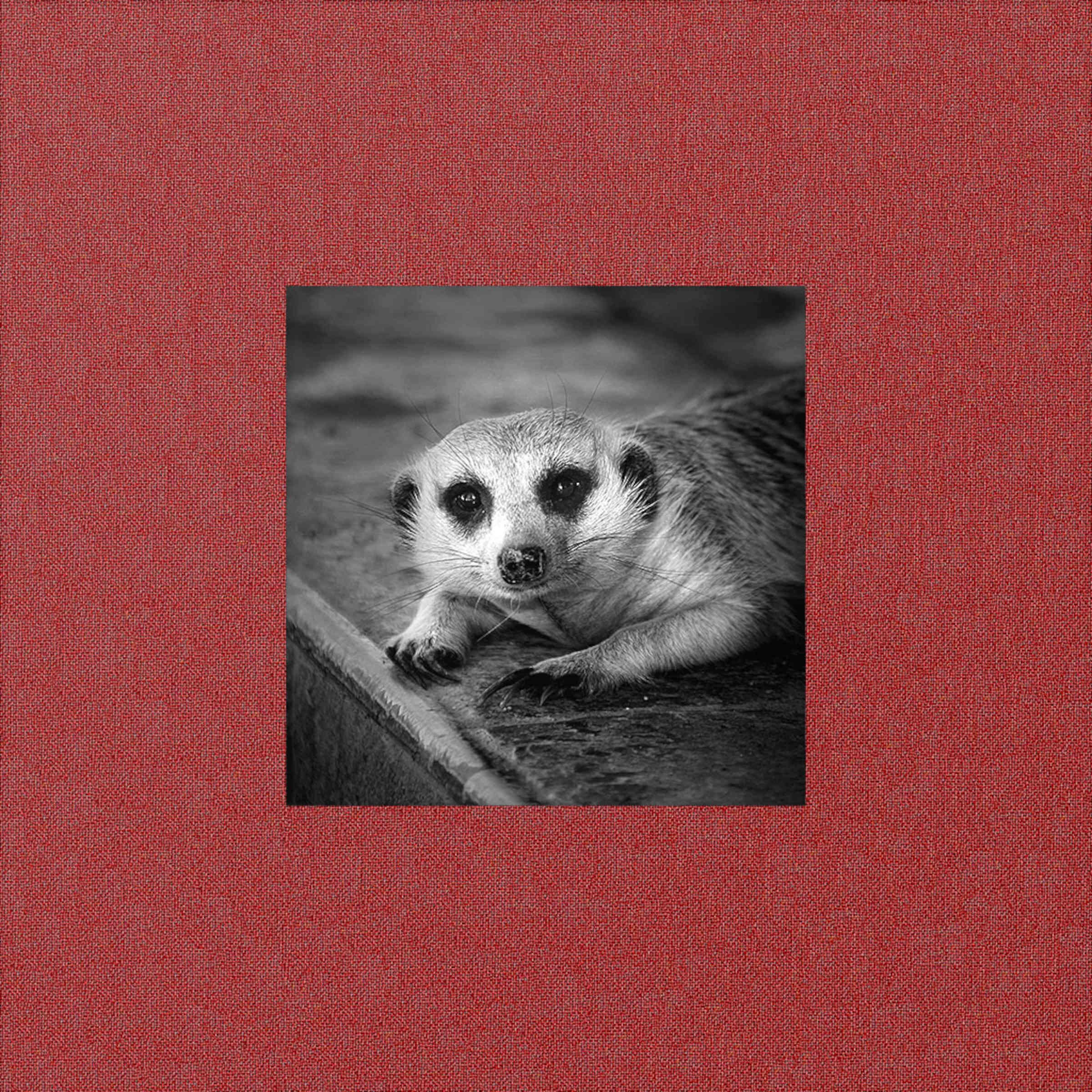 Релиз Topinamborough