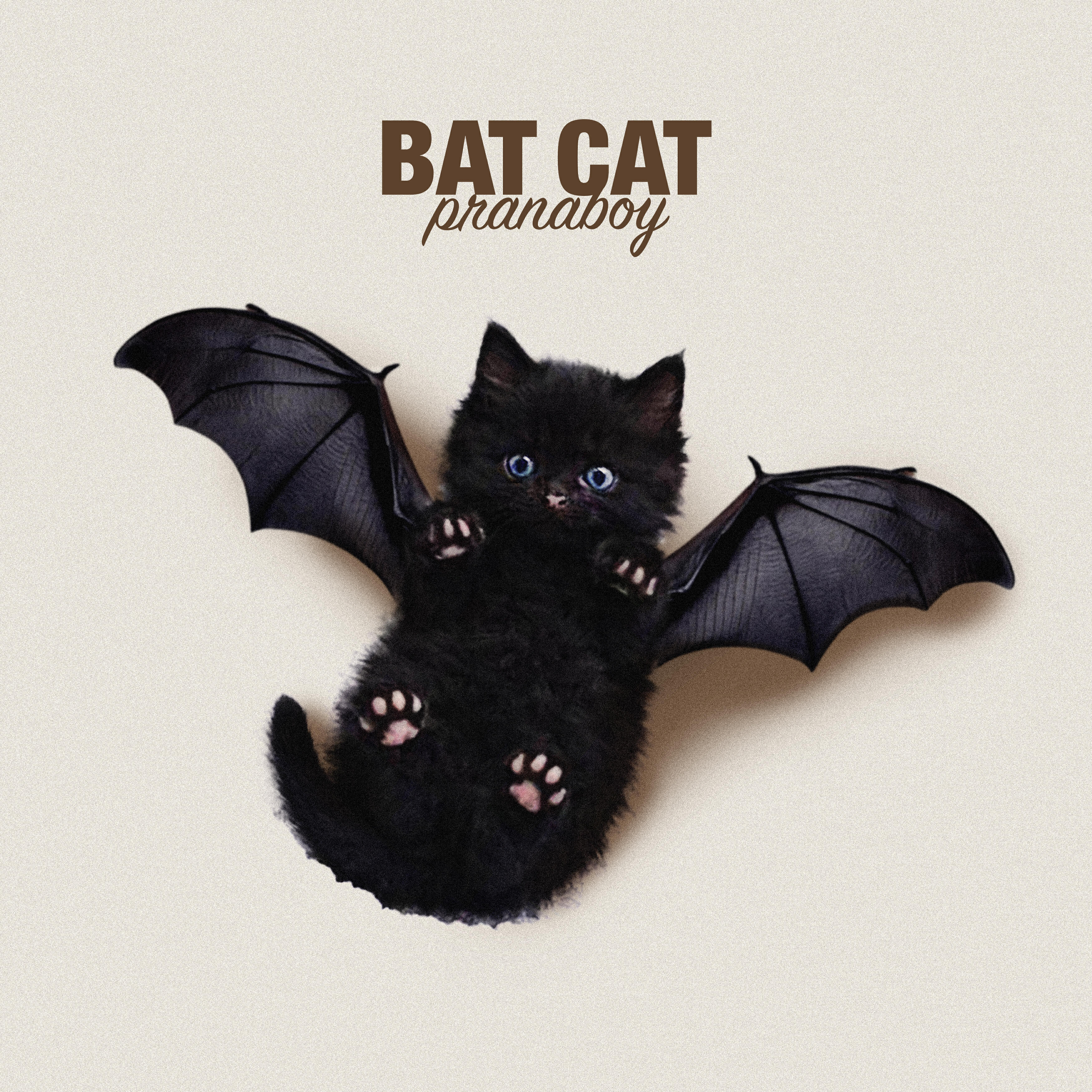 Релиз Bat Cat