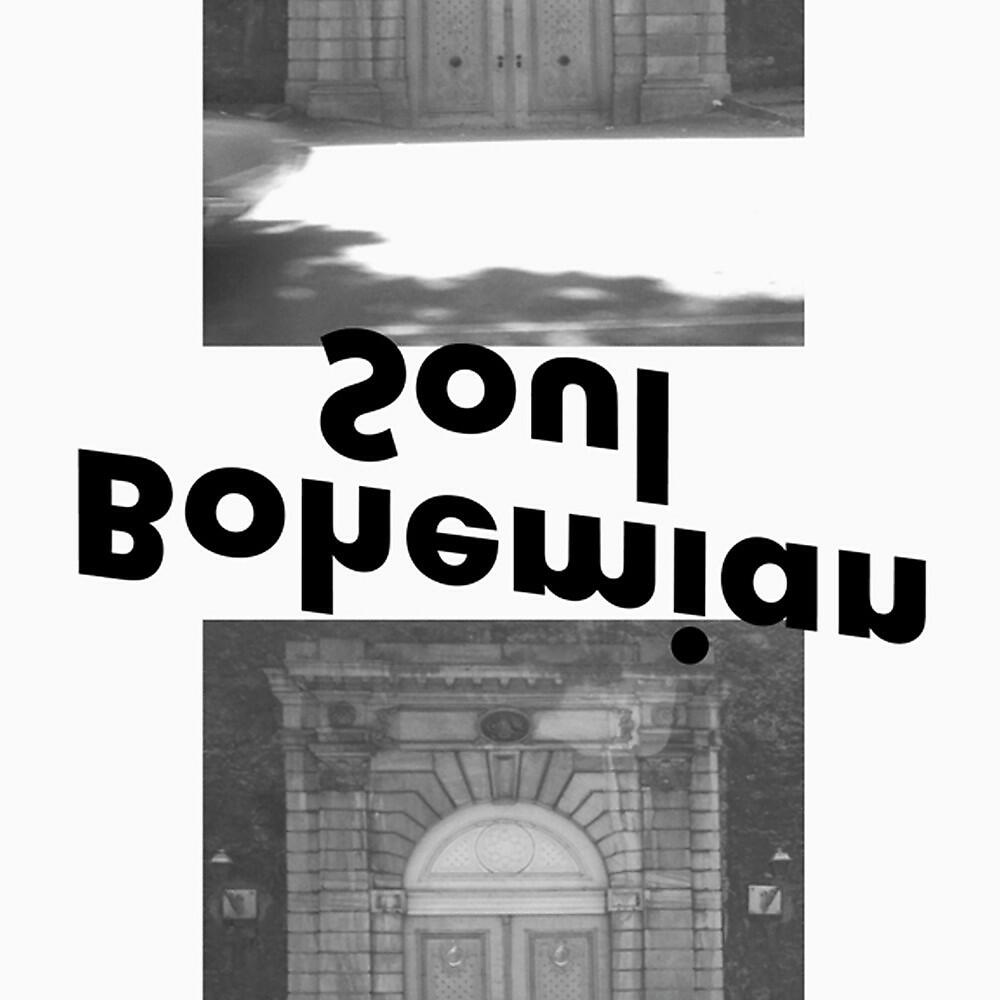 Постер альбома Bohemian Soul