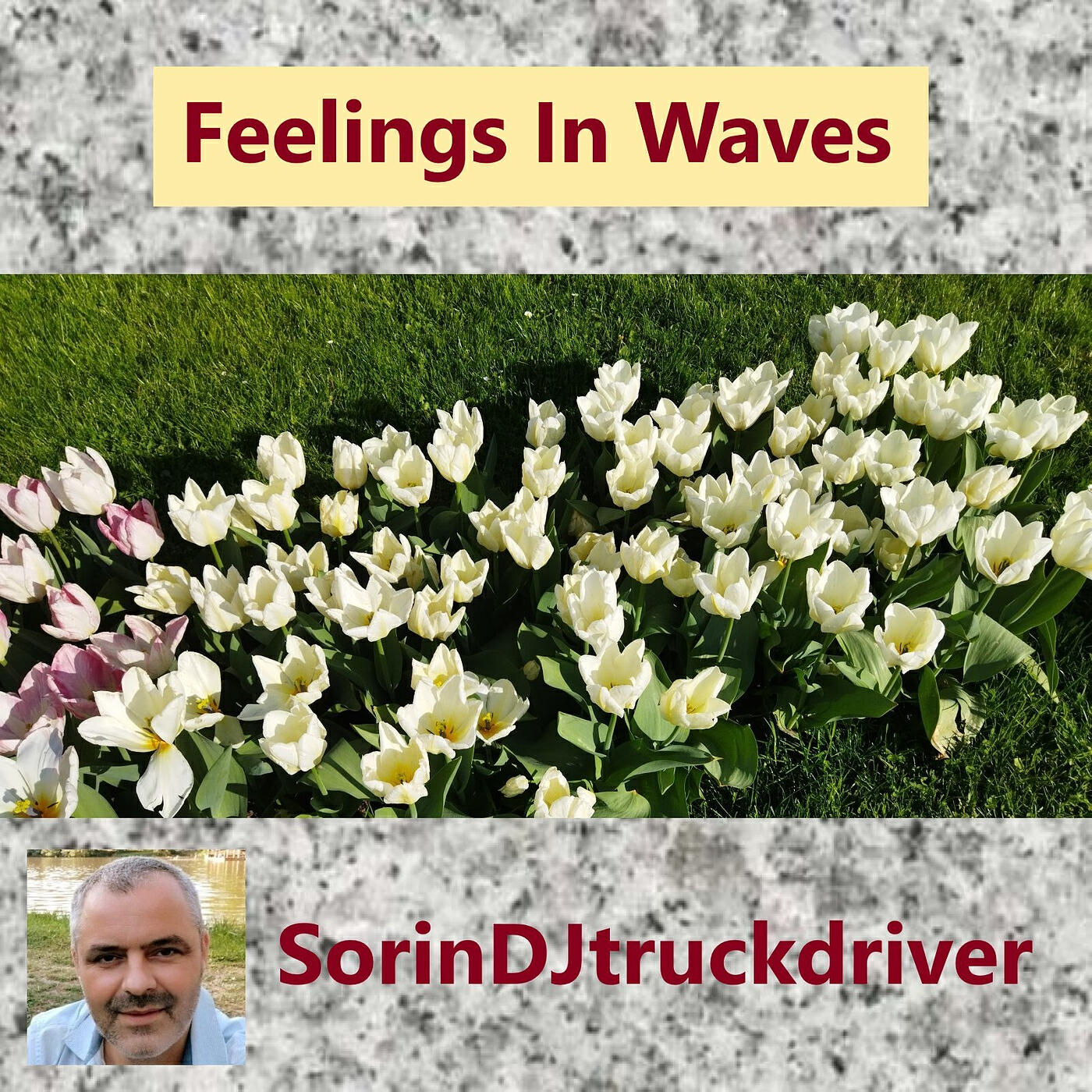 Релиз Feelings in Waves