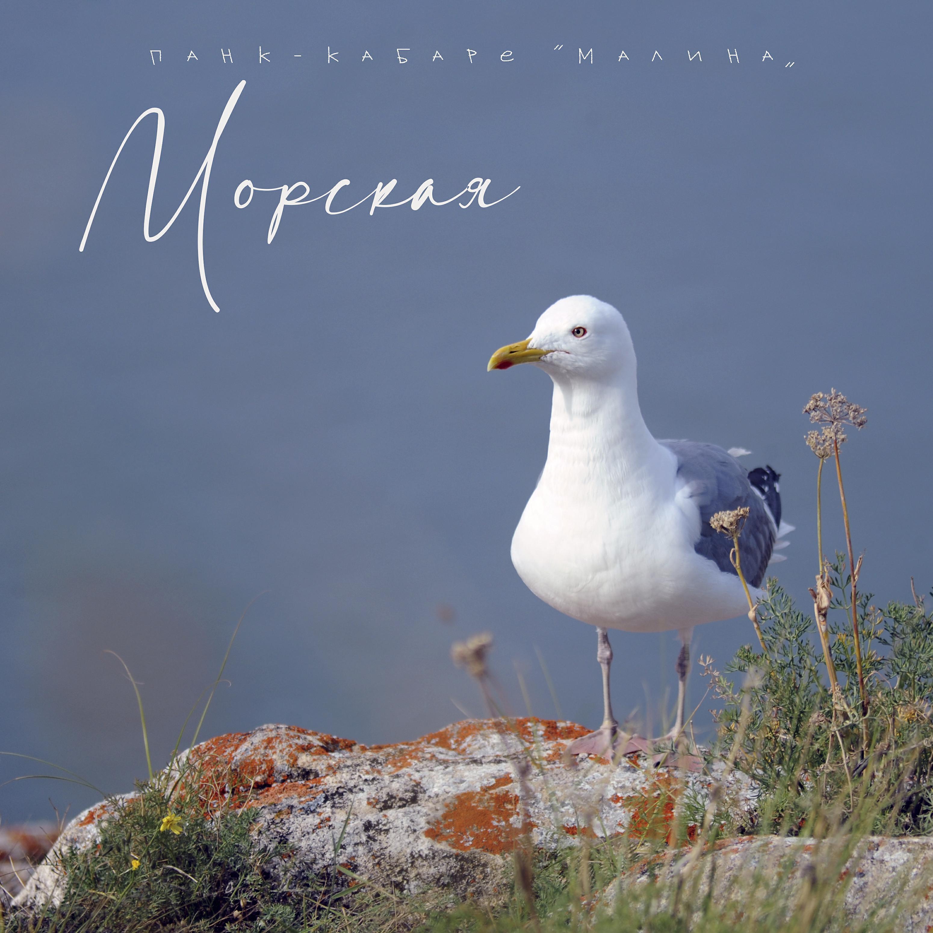 Панк-кабаре "Малина"