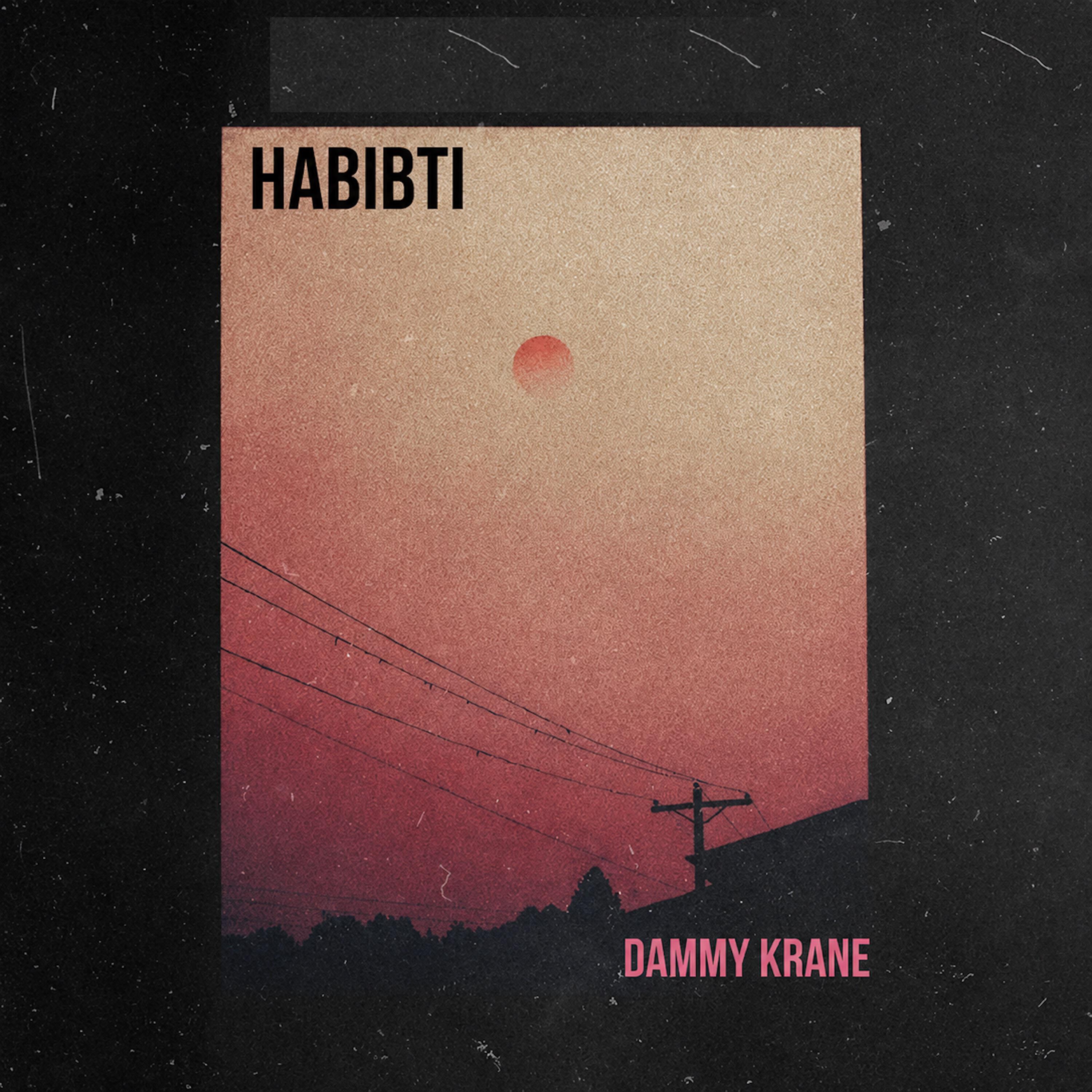 Релиз HABIBTI (NEW)
