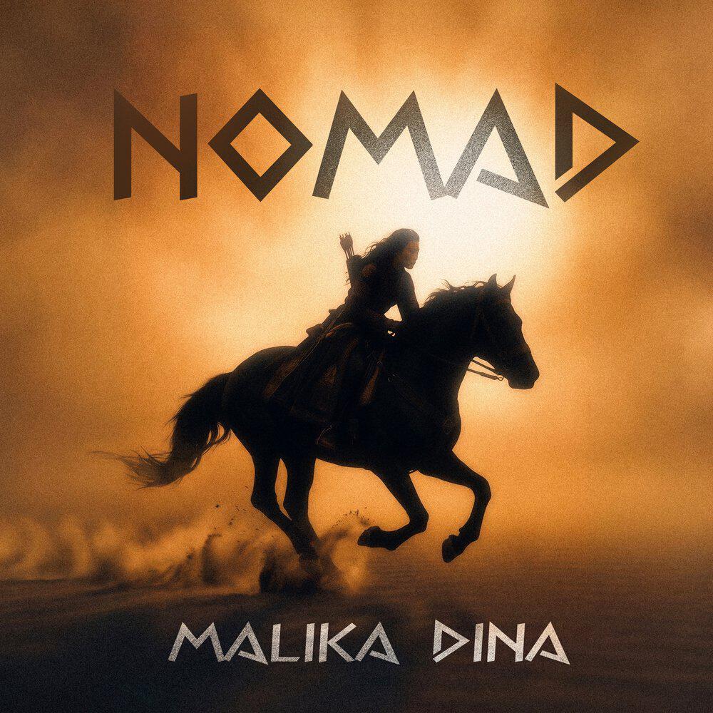 Релиз Nomad