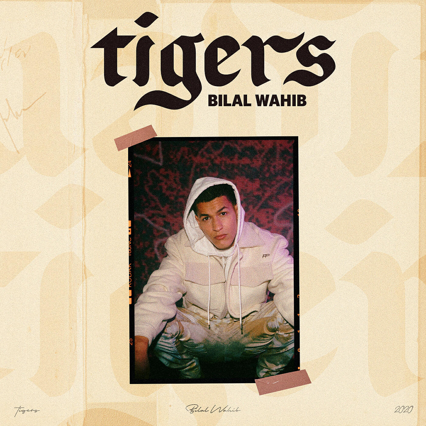 Скачать песню Bilal Wahib - Tigers бесплатно в MP3 для Android и iOS