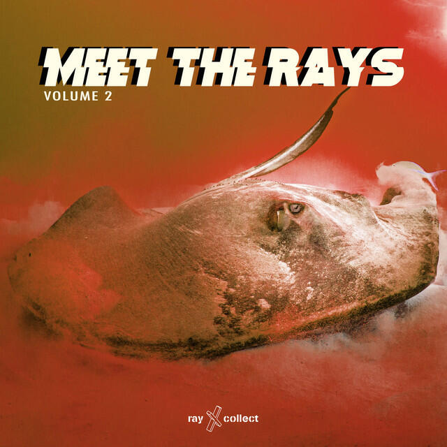 Релиз Meet The Rays EP, Vol.2