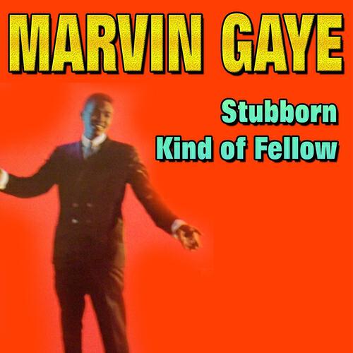 Релиз Stubborn Kind of Fellow (From the Beginning)