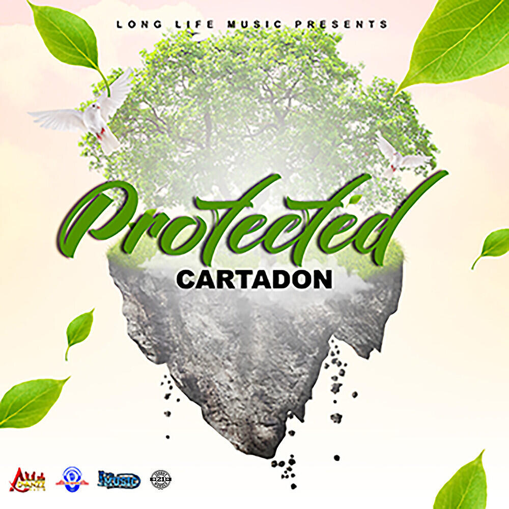 Релиз Protected
