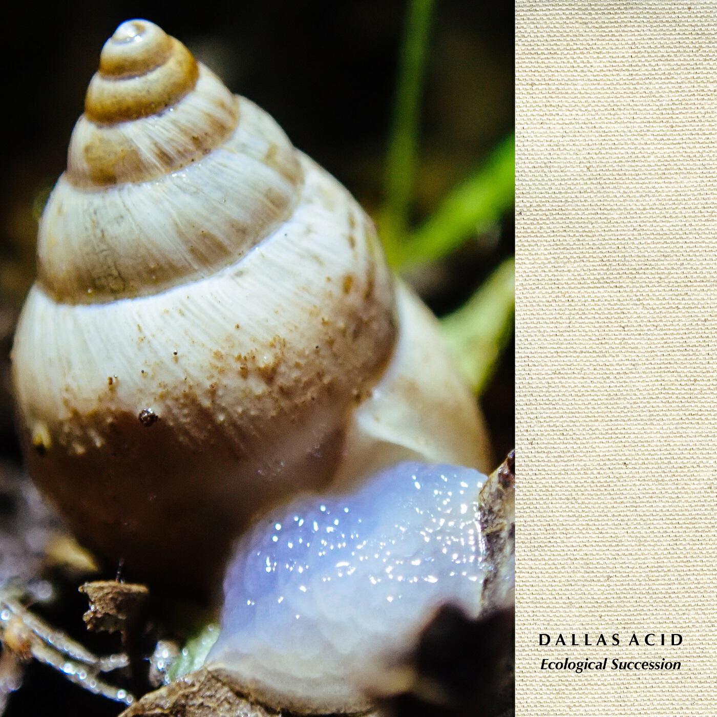 Релиз Ecological Succession (Edit)