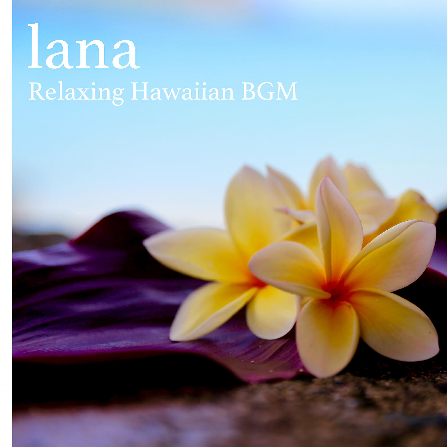 Релиз lana -Relaxing Hawaiian BGM
