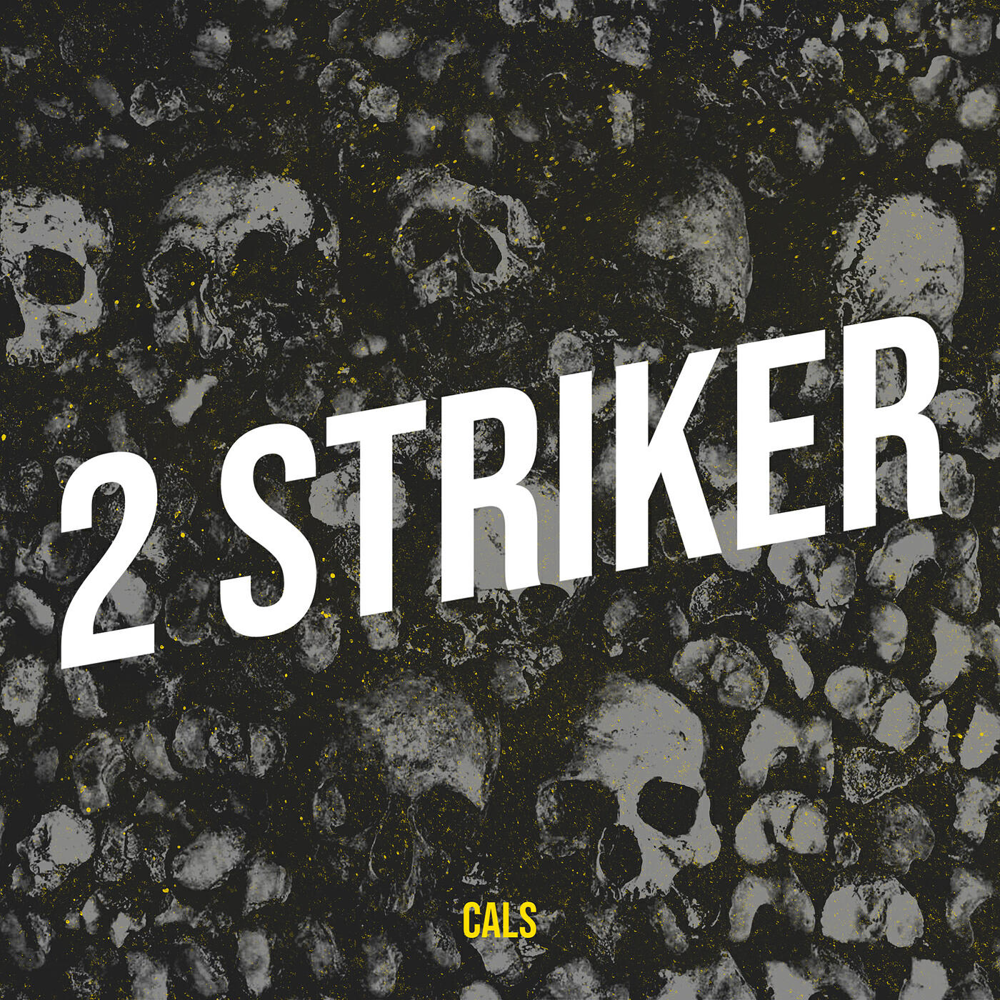 Релиз 2 Striker