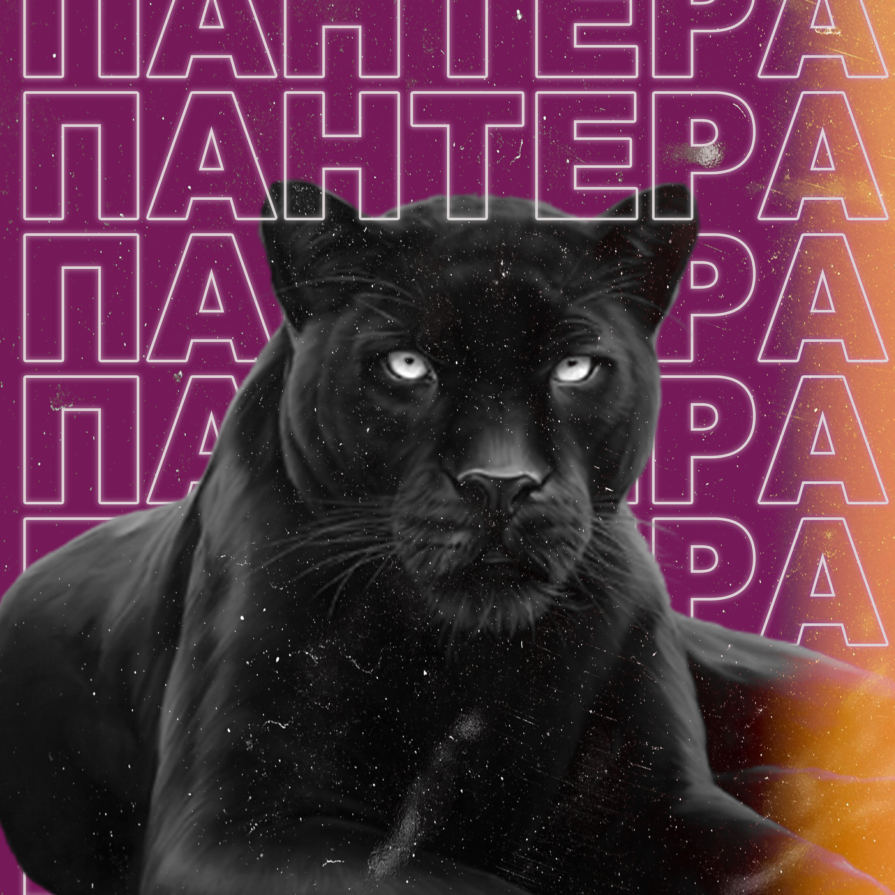 Релиз Пантера