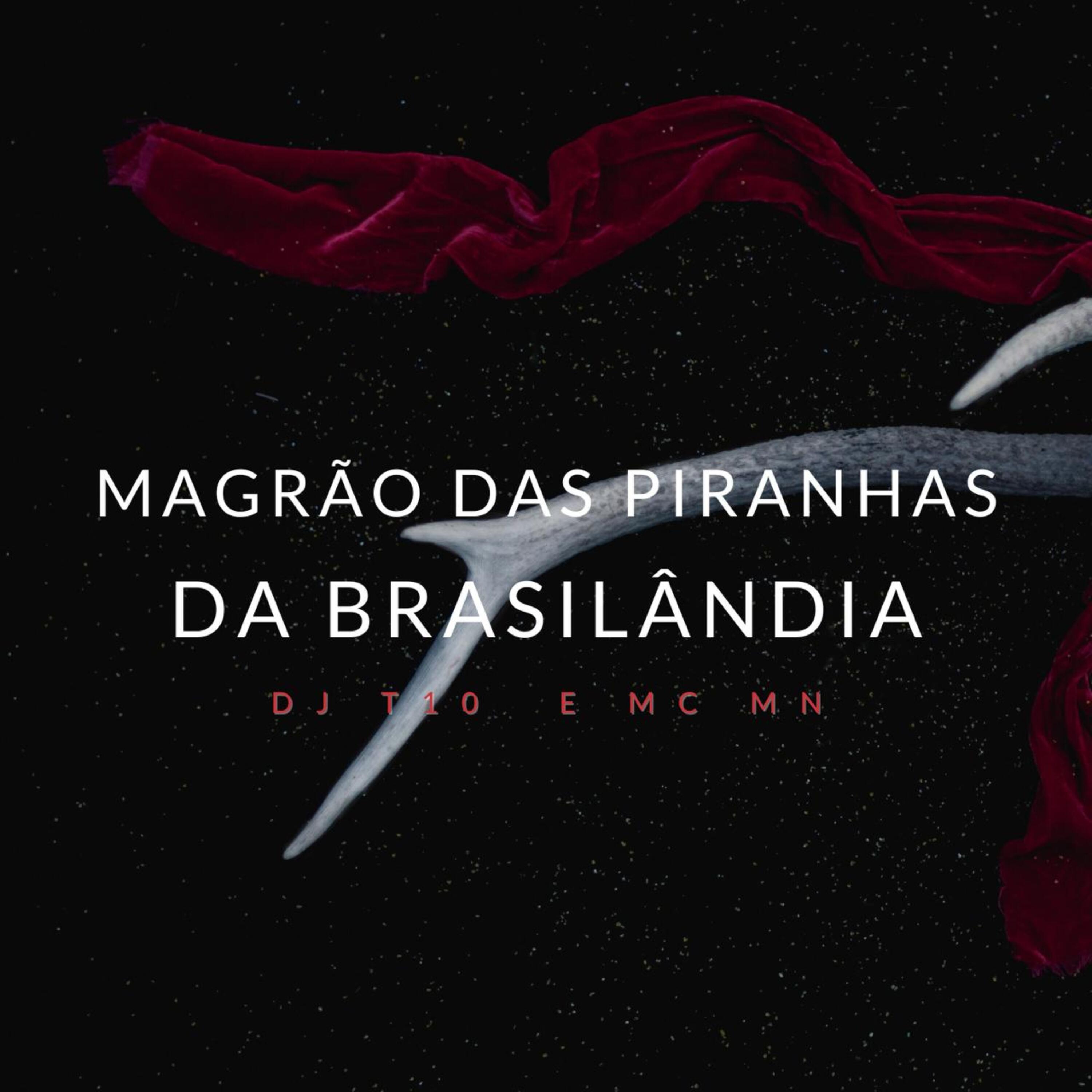 Постер альбома Magrão das Piranhas da Brasilândia