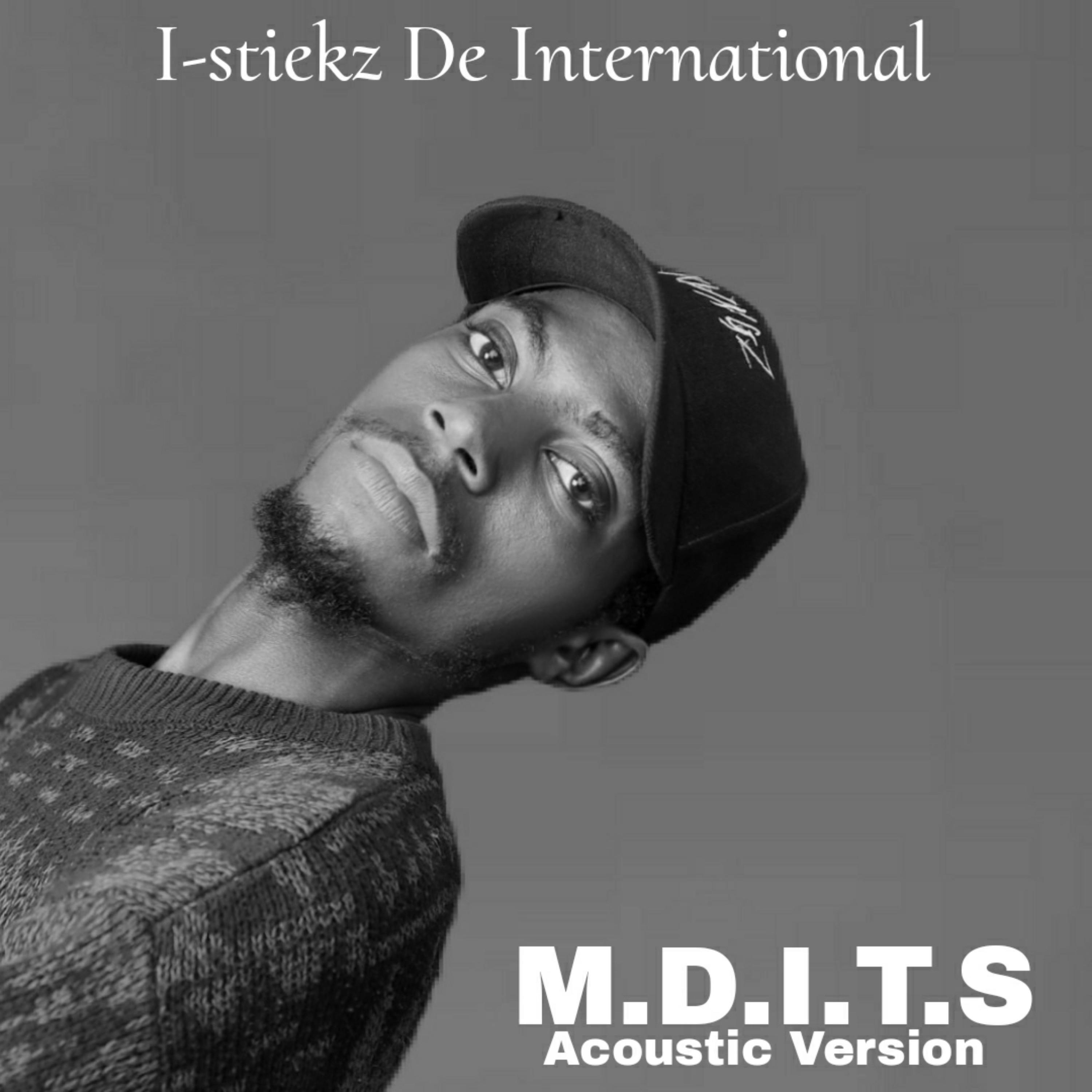 Релиз M.D.I.T.S Acoustic Version
