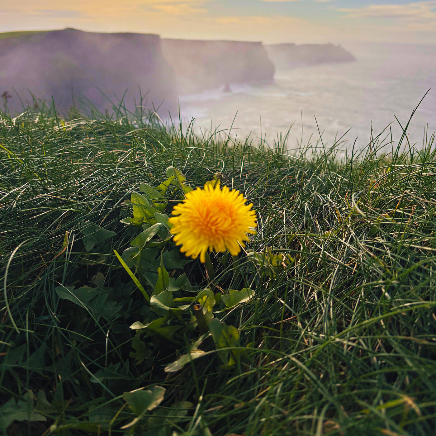 Релиз Irish Sea