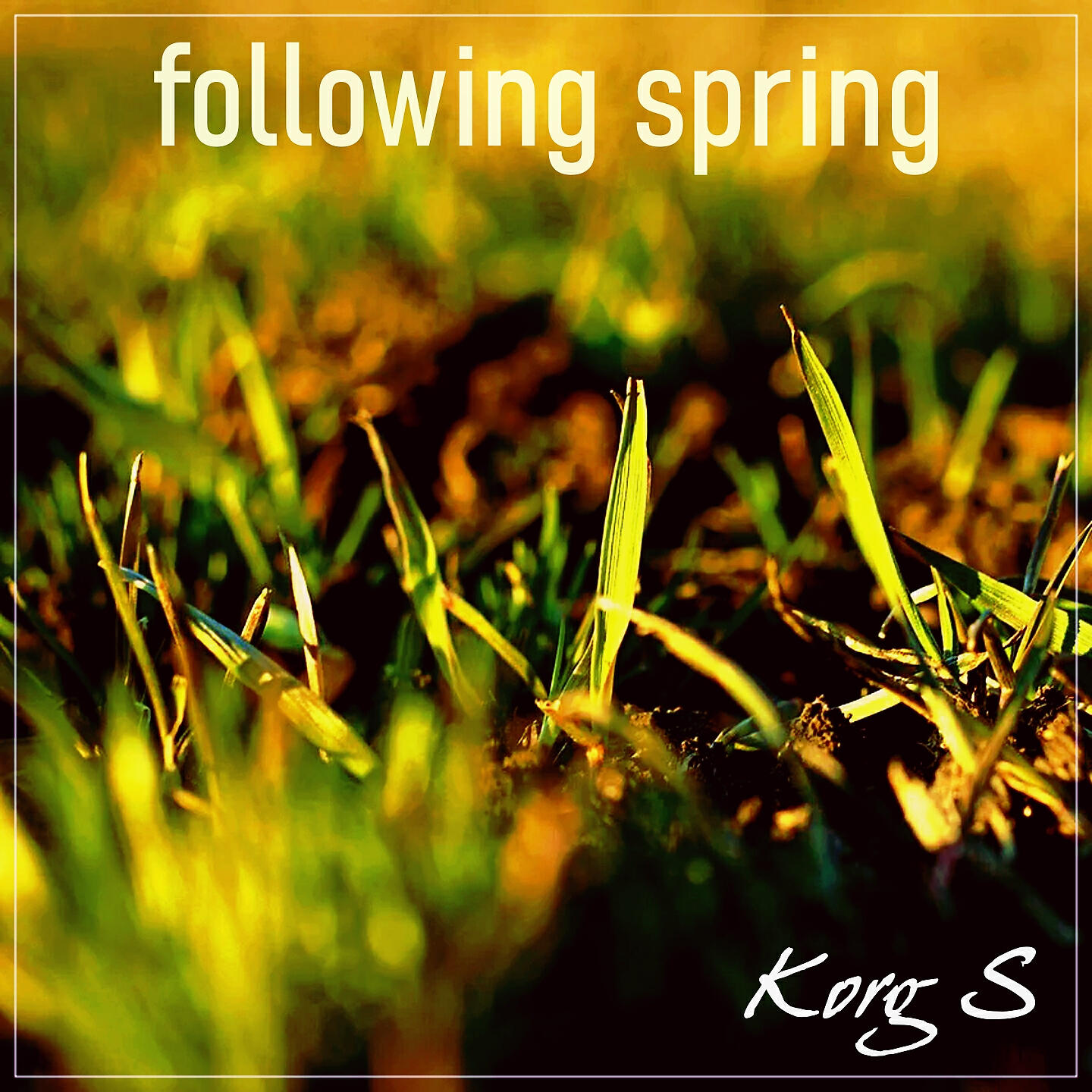 Релиз Following Spring