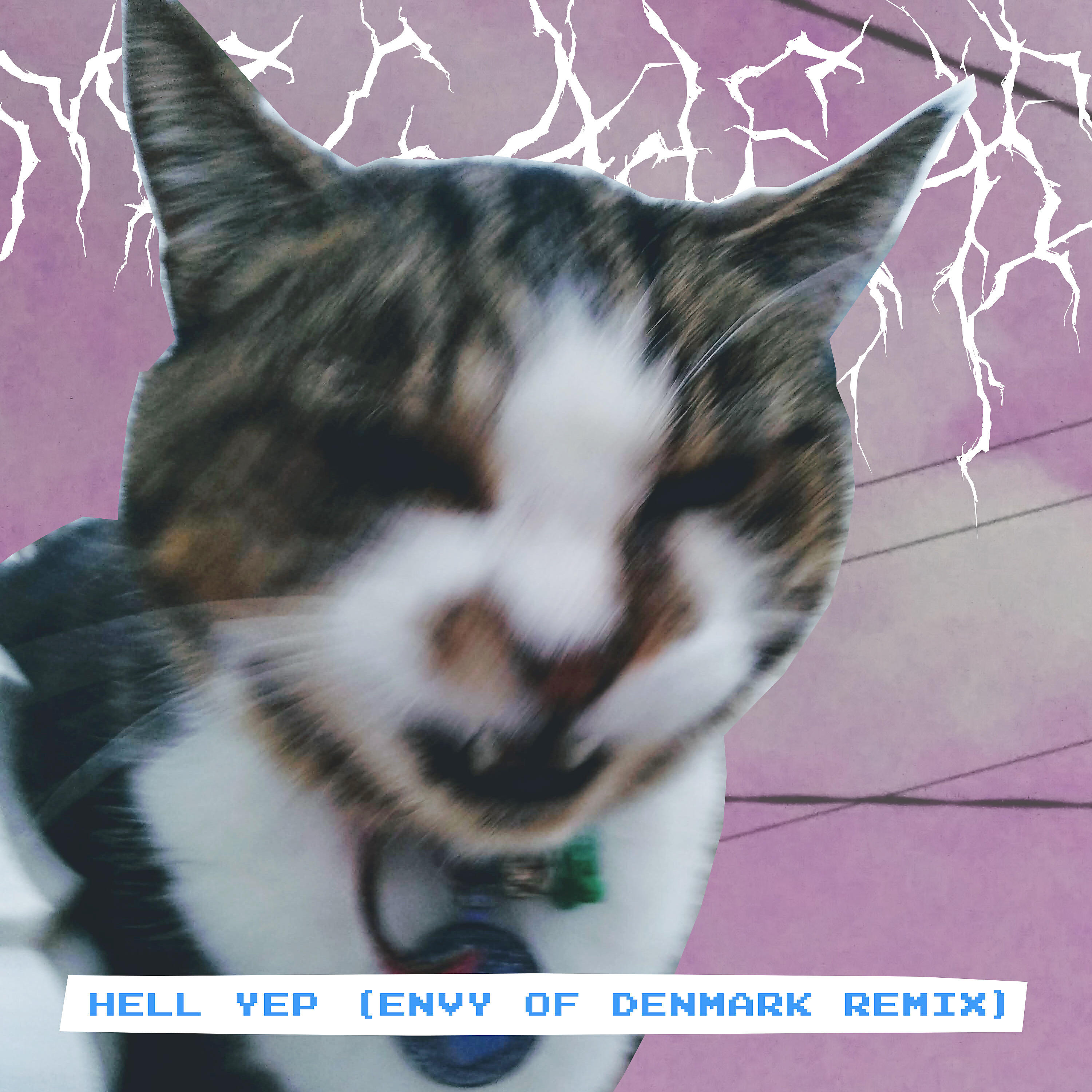 Envy of Denmark