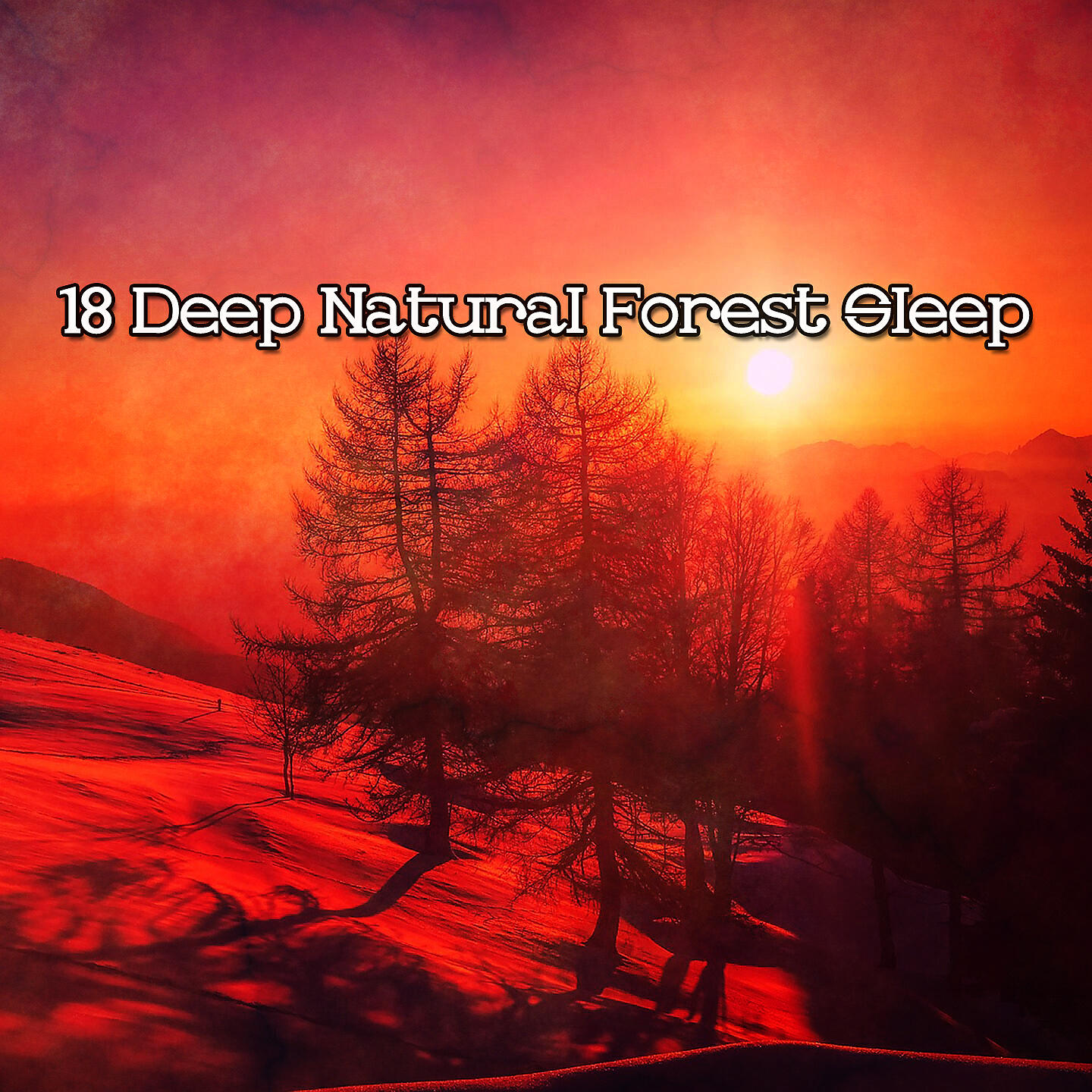 Nature Sounds Nature Music; Sleep Sounds Of Nature; Rest & Relax Nature Sounds Artists