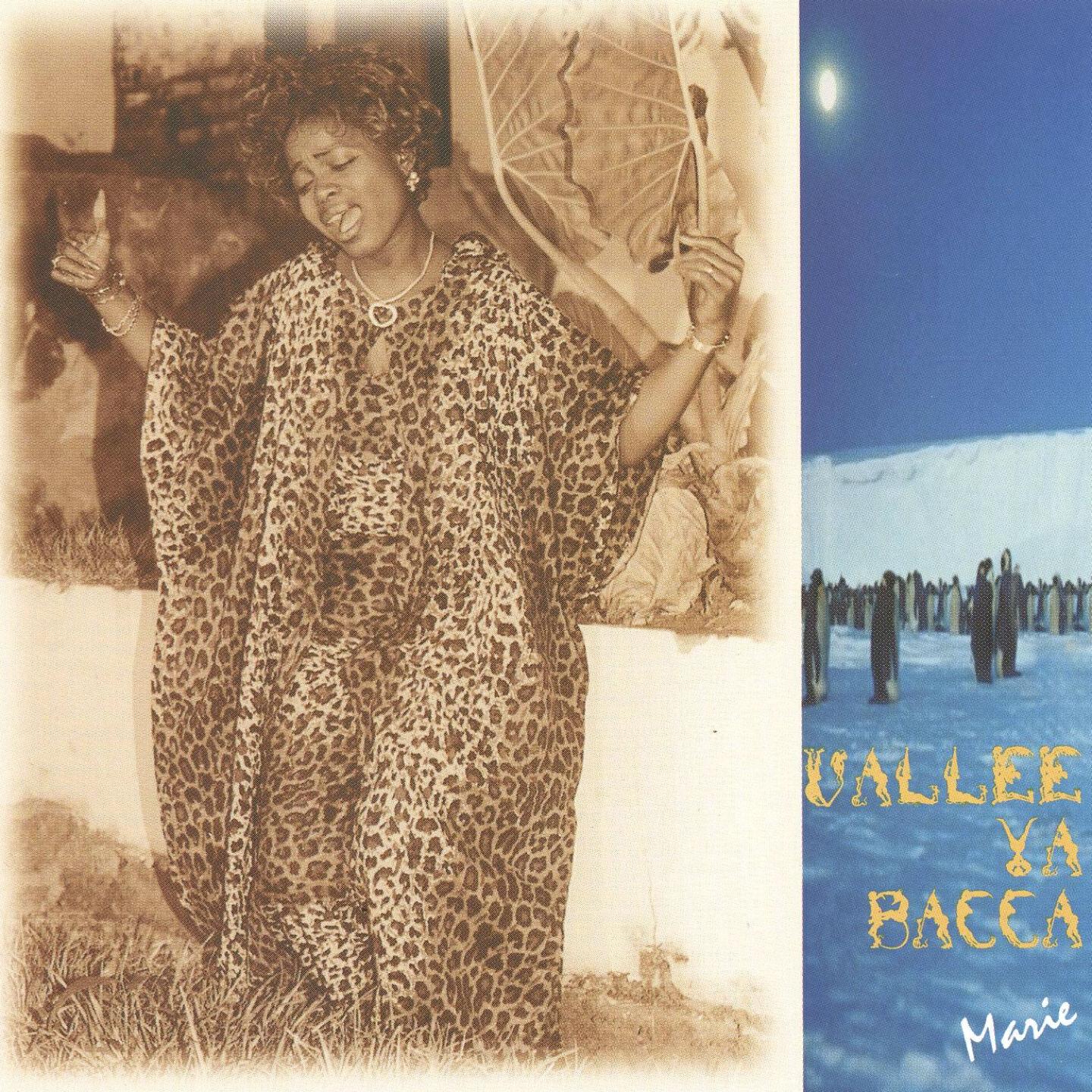 Релиз Vallée ya bacca