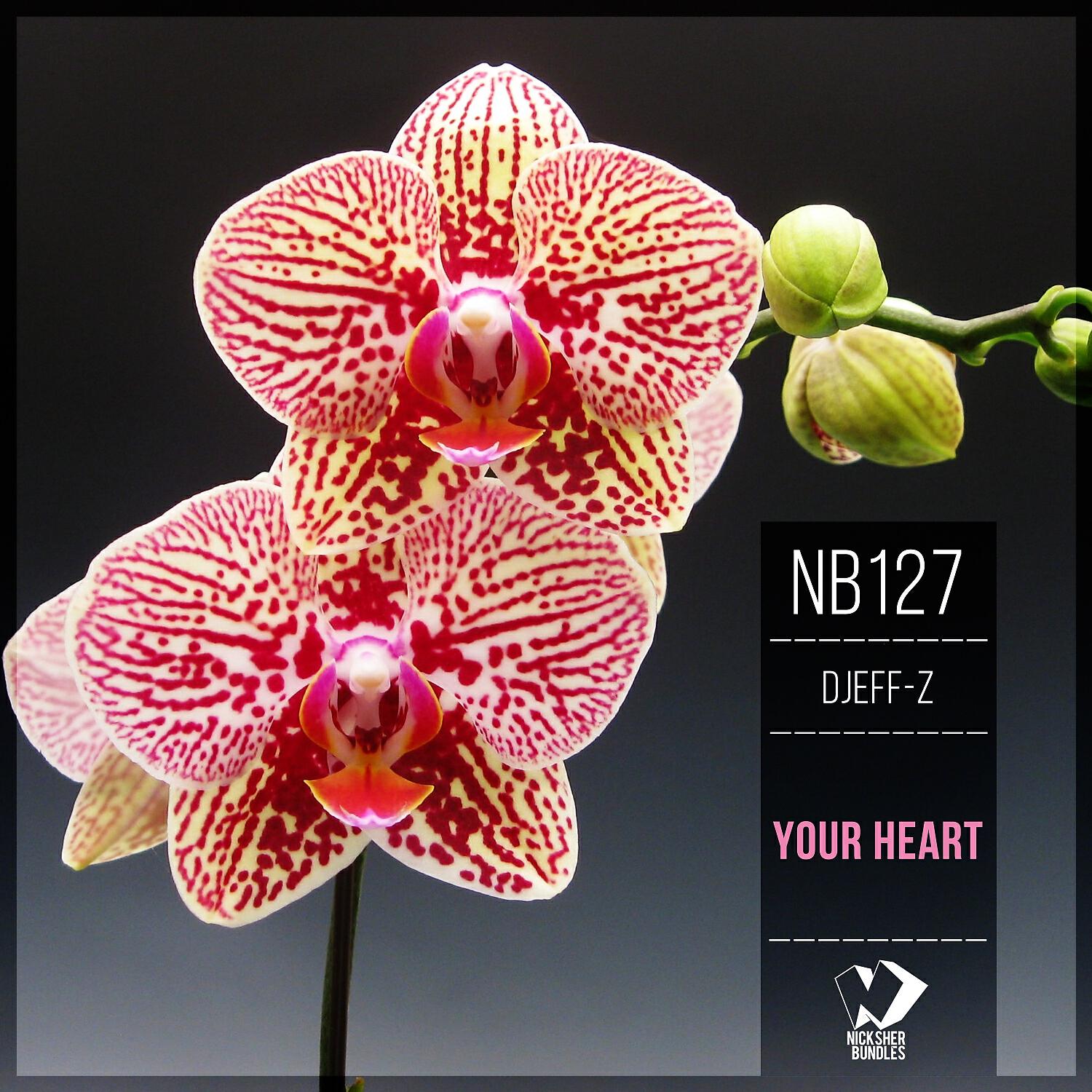 Релиз Your Heart