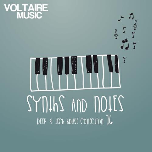 Релиз Synths and Notes 16