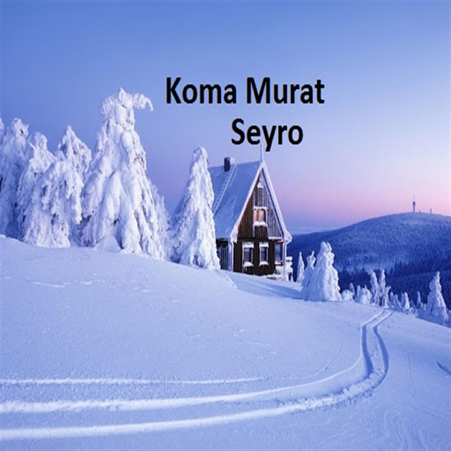 Релиз Seyro