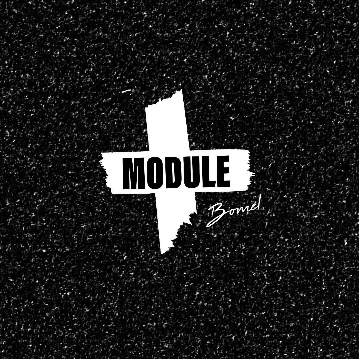 Постер альбома Module