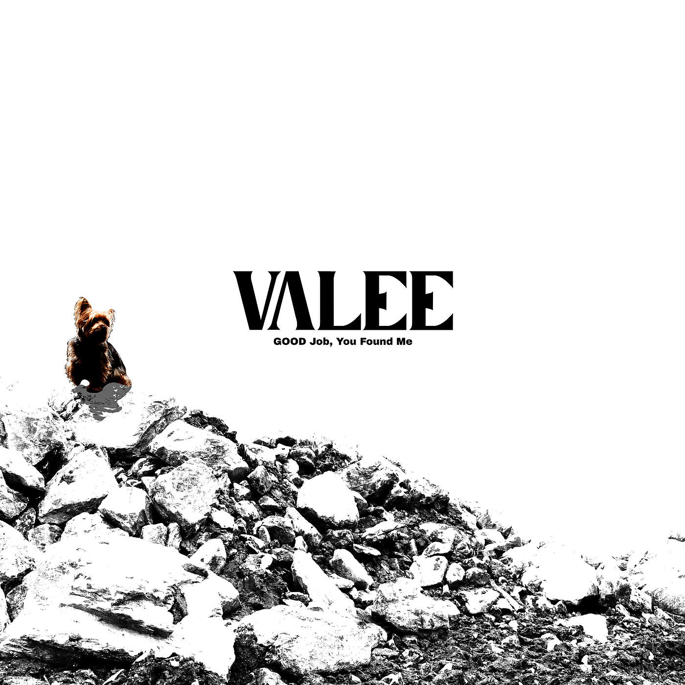 Valee - Vlone