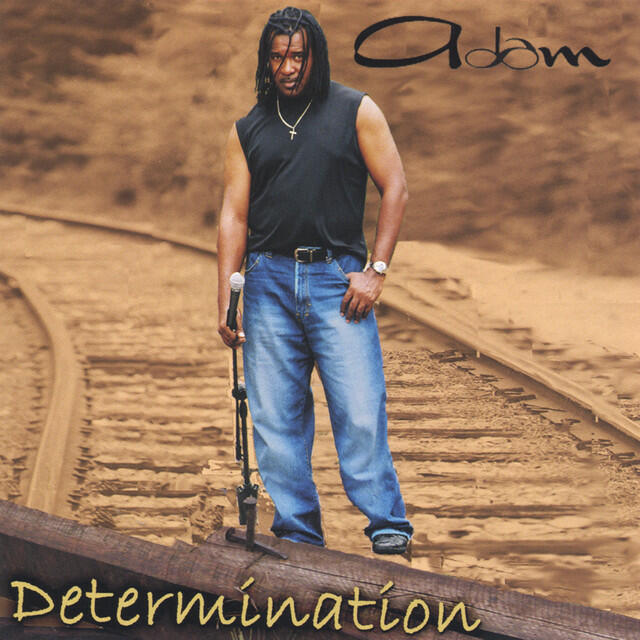Релиз Determination