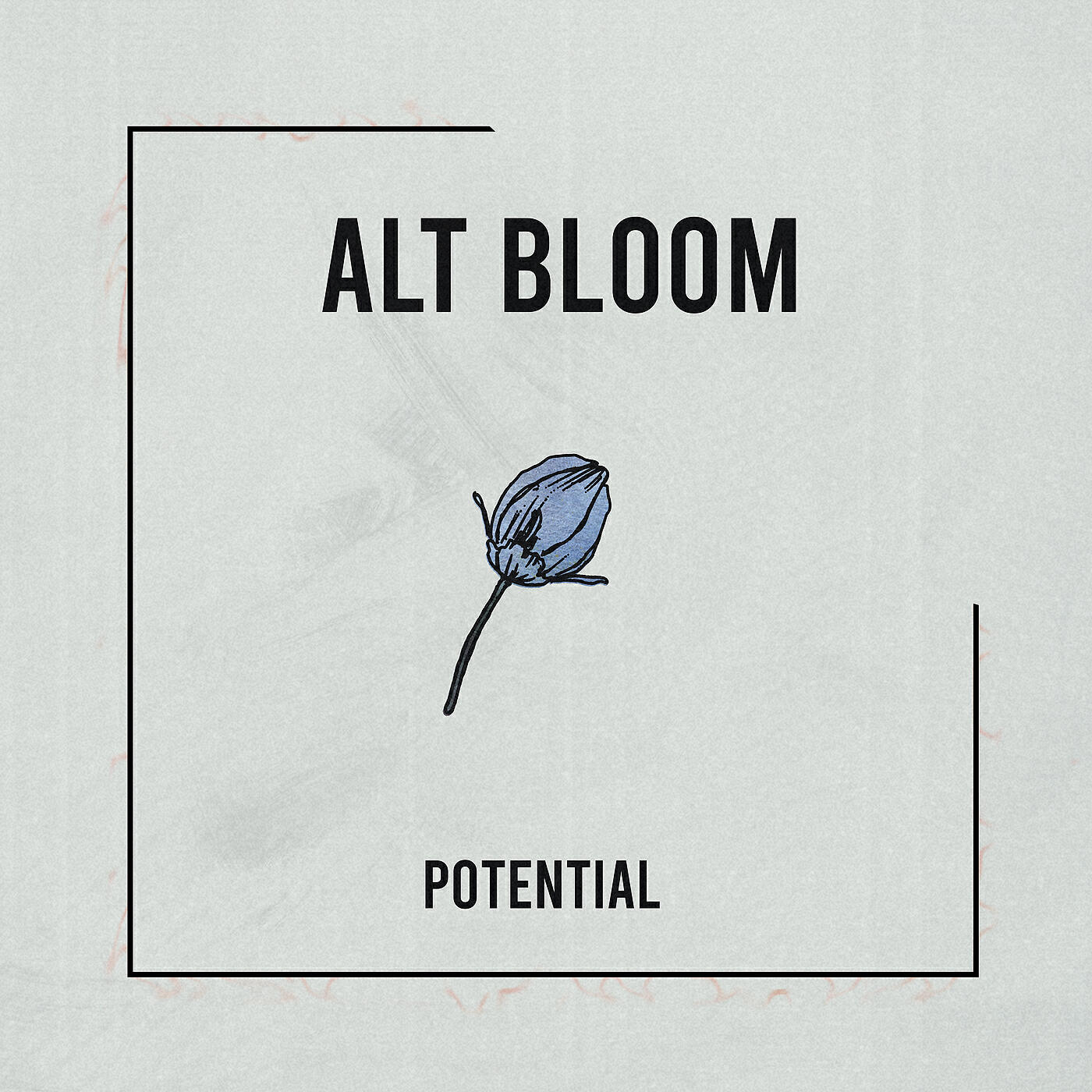 Релиз Potential