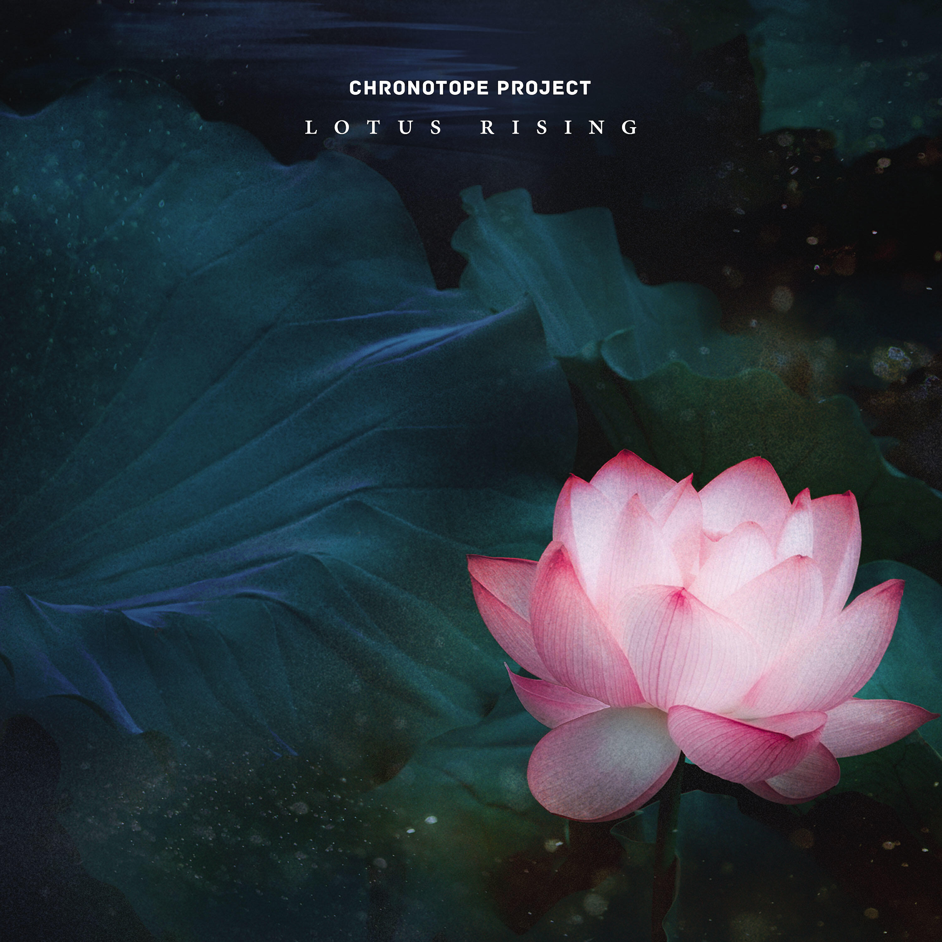 Релиз Lotus Rising