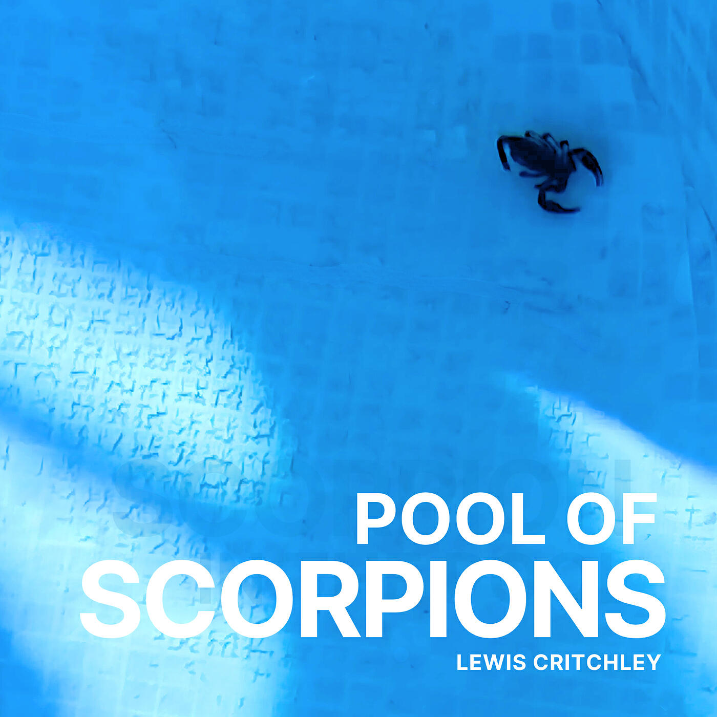 Релиз Pool of Scorpions