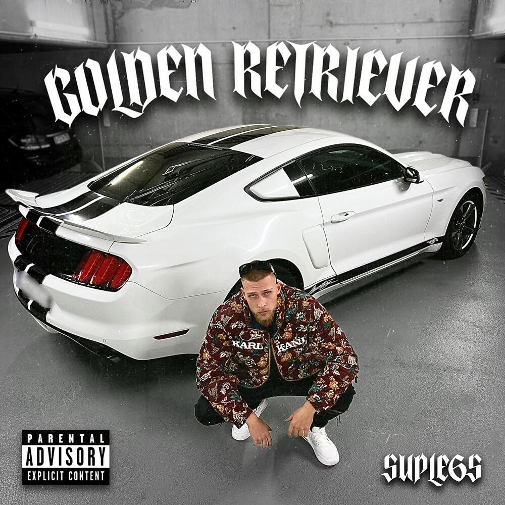 Релиз Golden Retriever
