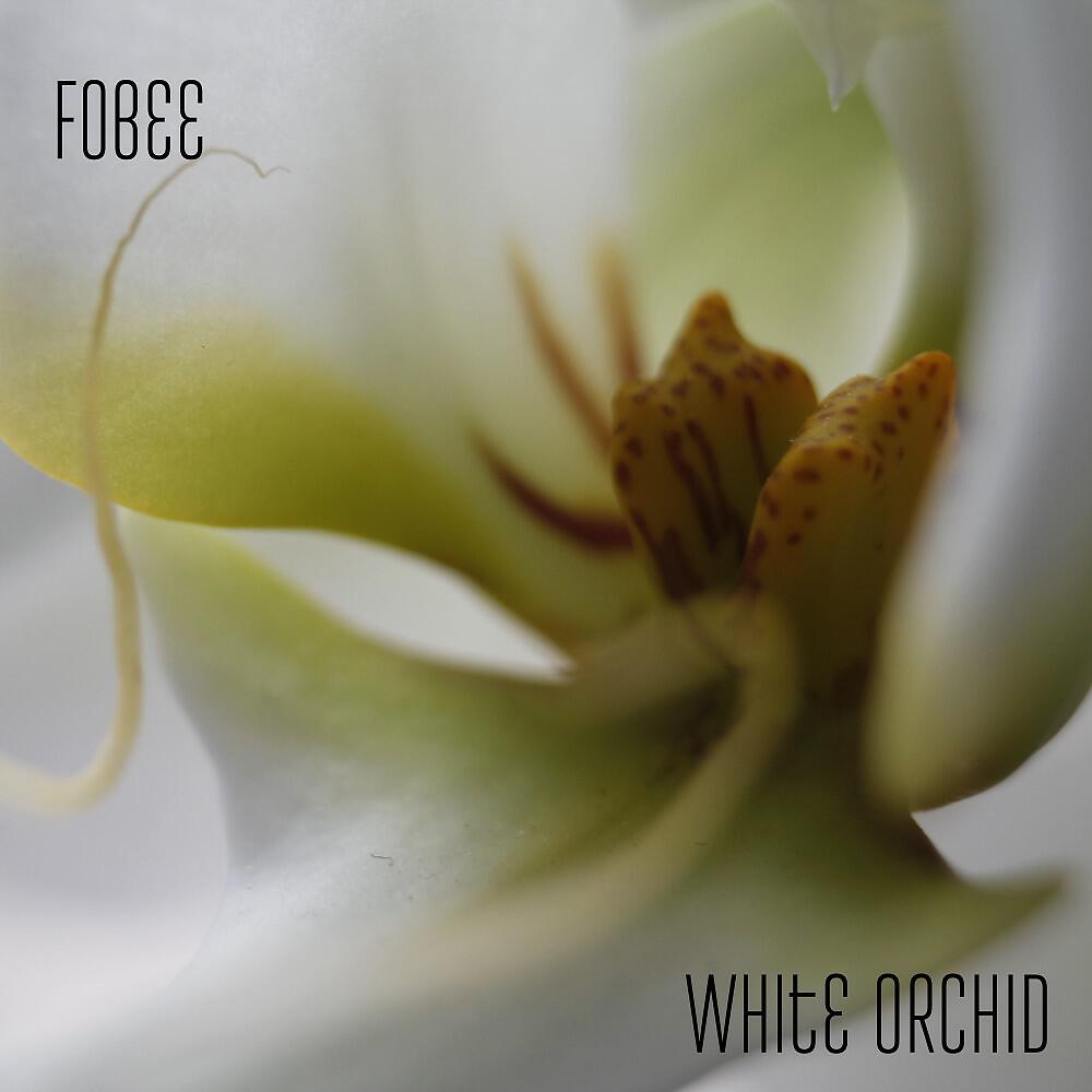 Релиз White Orchid